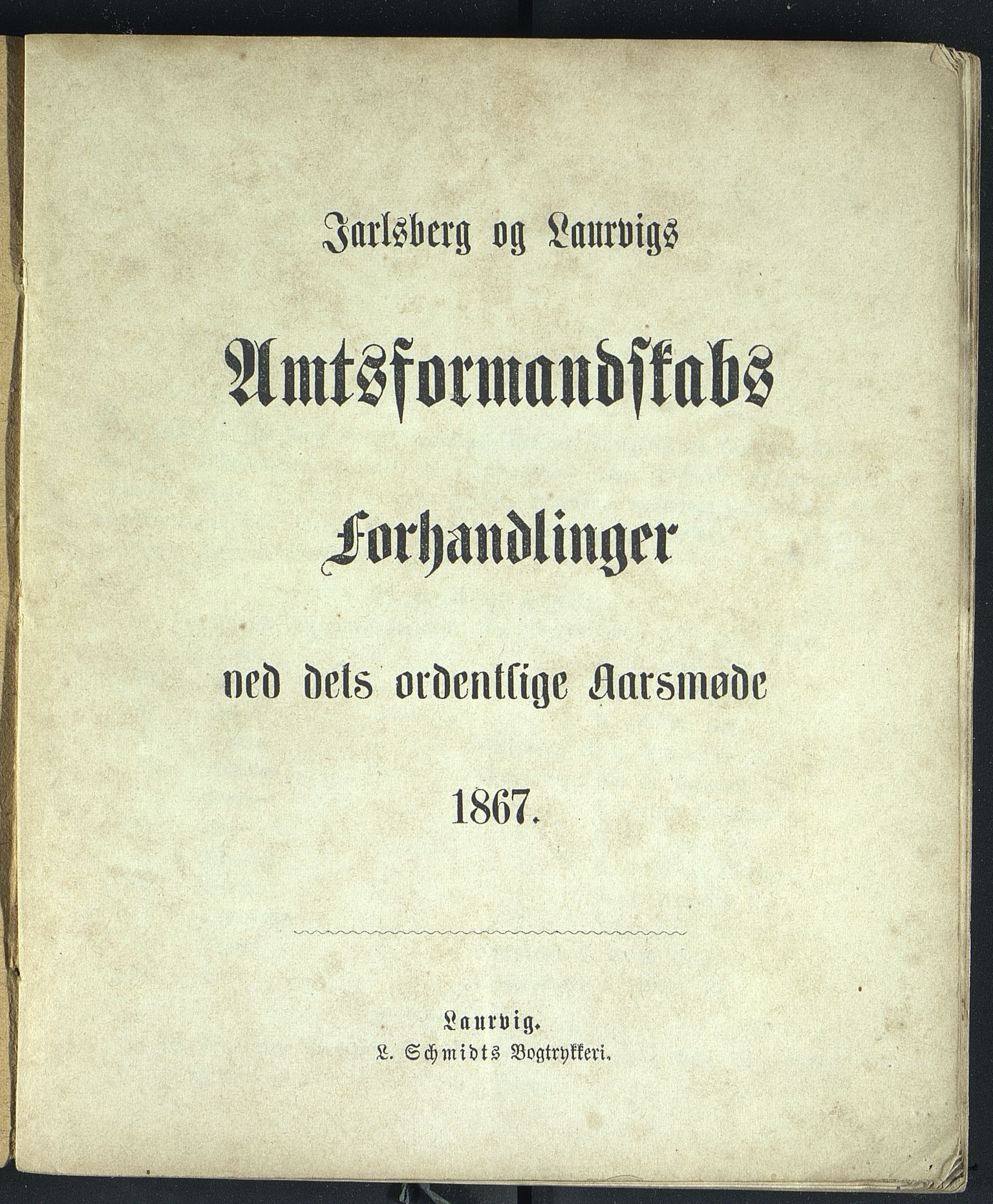 Vestfold fylkeskommune. Fylkestinget, VEMU/A-1315/A/Ab/Abb/L0013: Fylkestingsforhandlinger, 1867