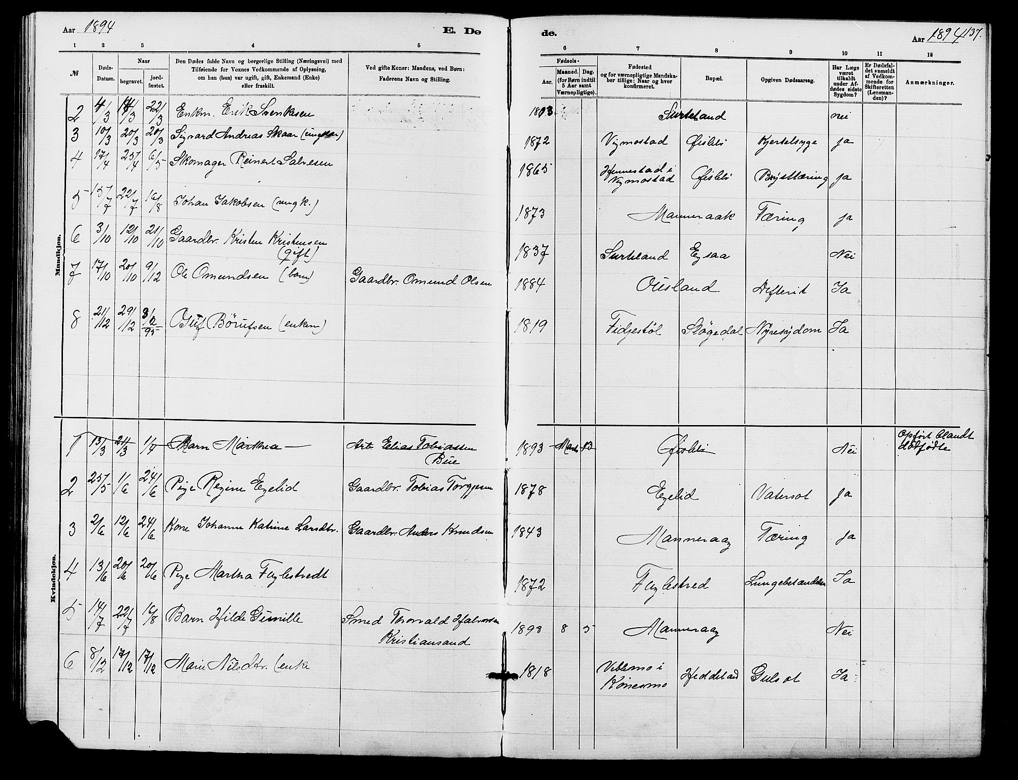 Holum sokneprestkontor, SAK/1111-0022/F/Fb/Fbc/L0003: Parish register (copy) no. B 3, 1882-1908, p. 137