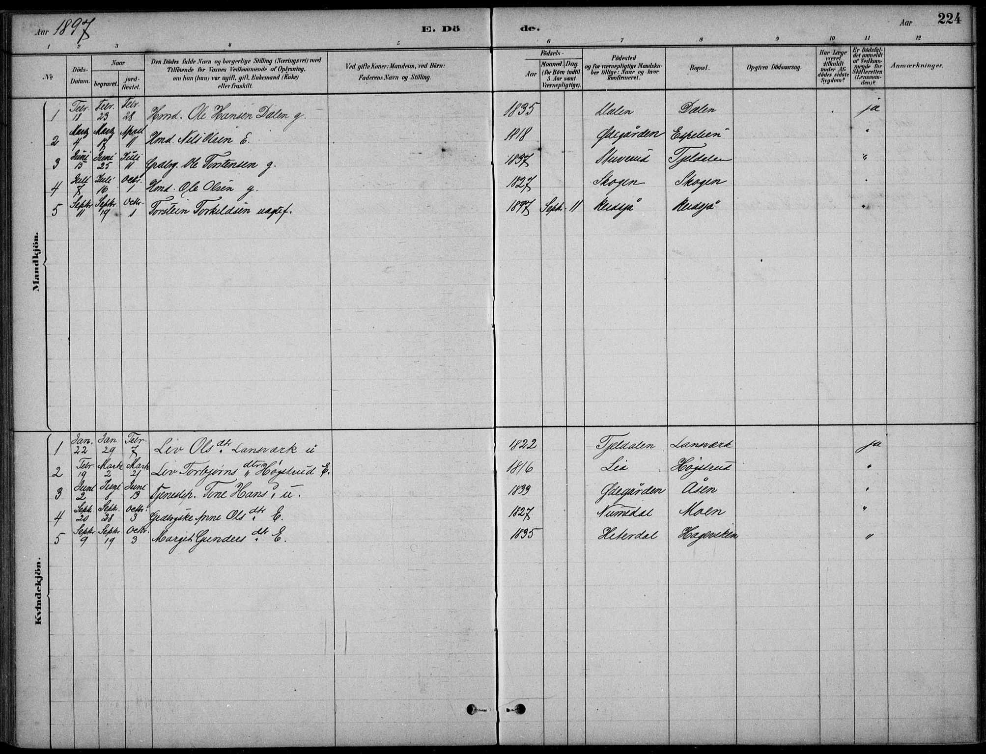 Hjartdal kirkebøker, AV/SAKO-A-270/F/Fc/L0002: Parish register (official) no. III 2, 1880-1936, p. 224