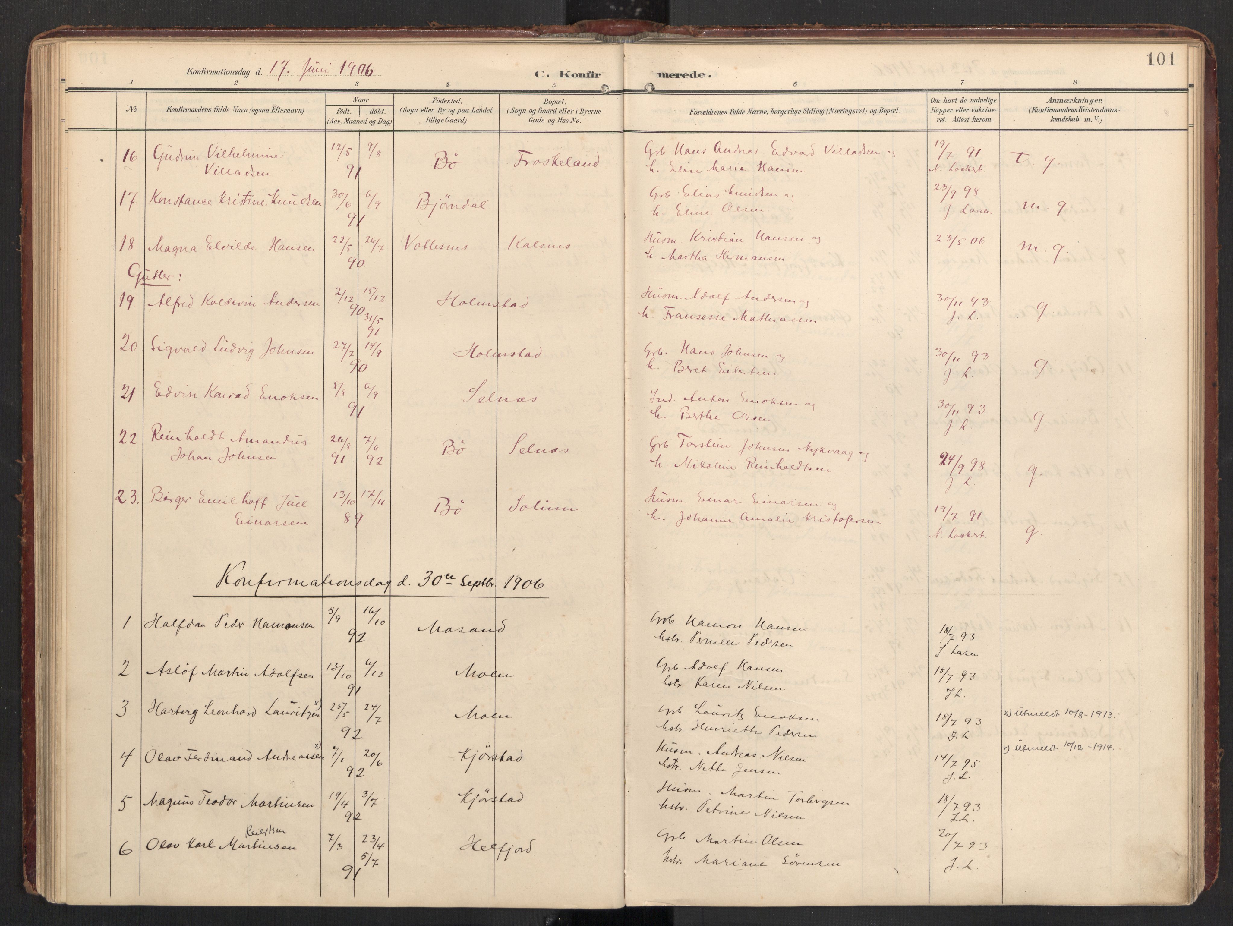 Ministerialprotokoller, klokkerbøker og fødselsregistre - Nordland, AV/SAT-A-1459/890/L1287: Parish register (official) no. 890A02, 1903-1915, p. 101