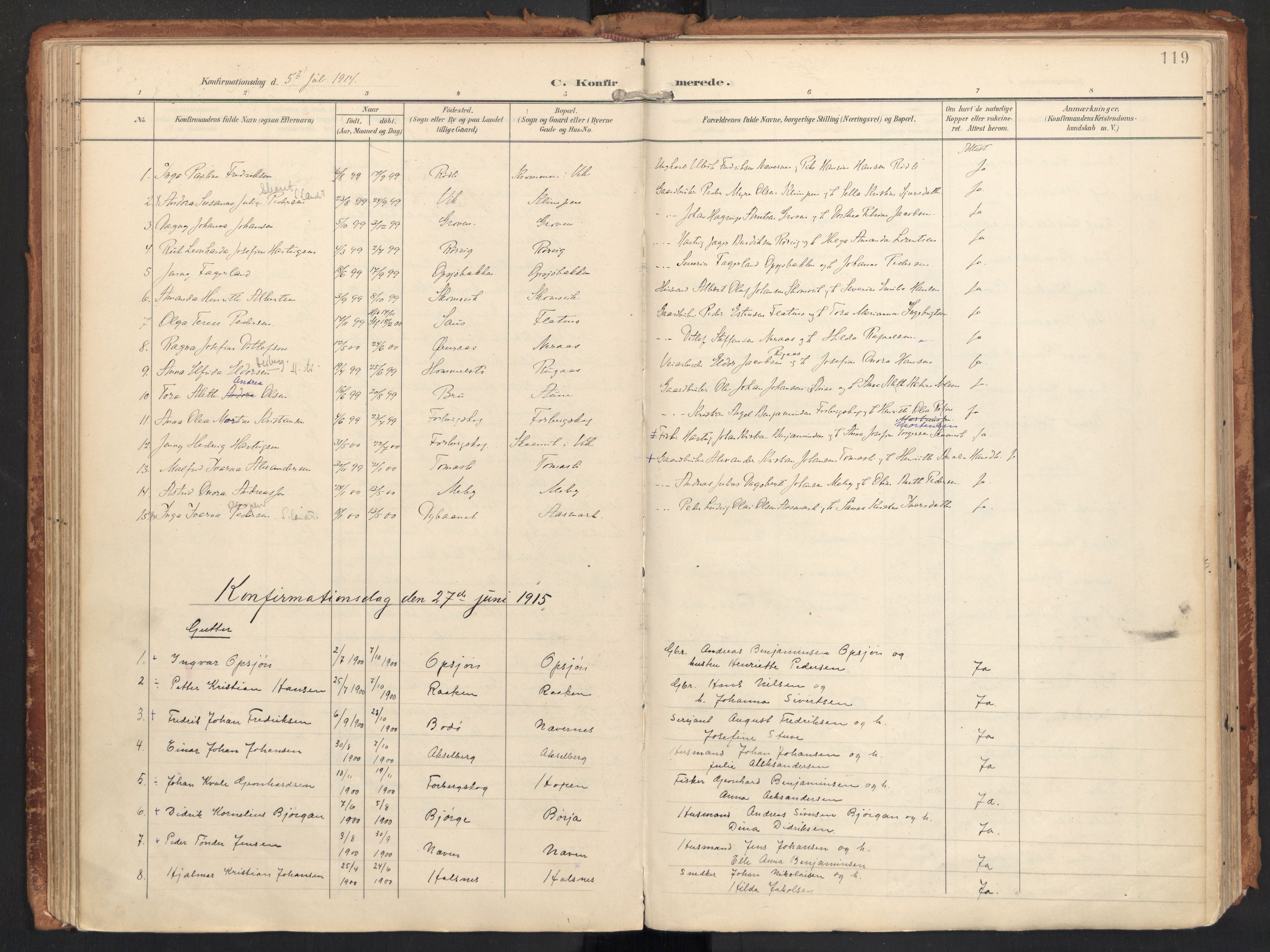 Ministerialprotokoller, klokkerbøker og fødselsregistre - Nordland, SAT/A-1459/814/L0227: Parish register (official) no. 814A08, 1899-1920, p. 119