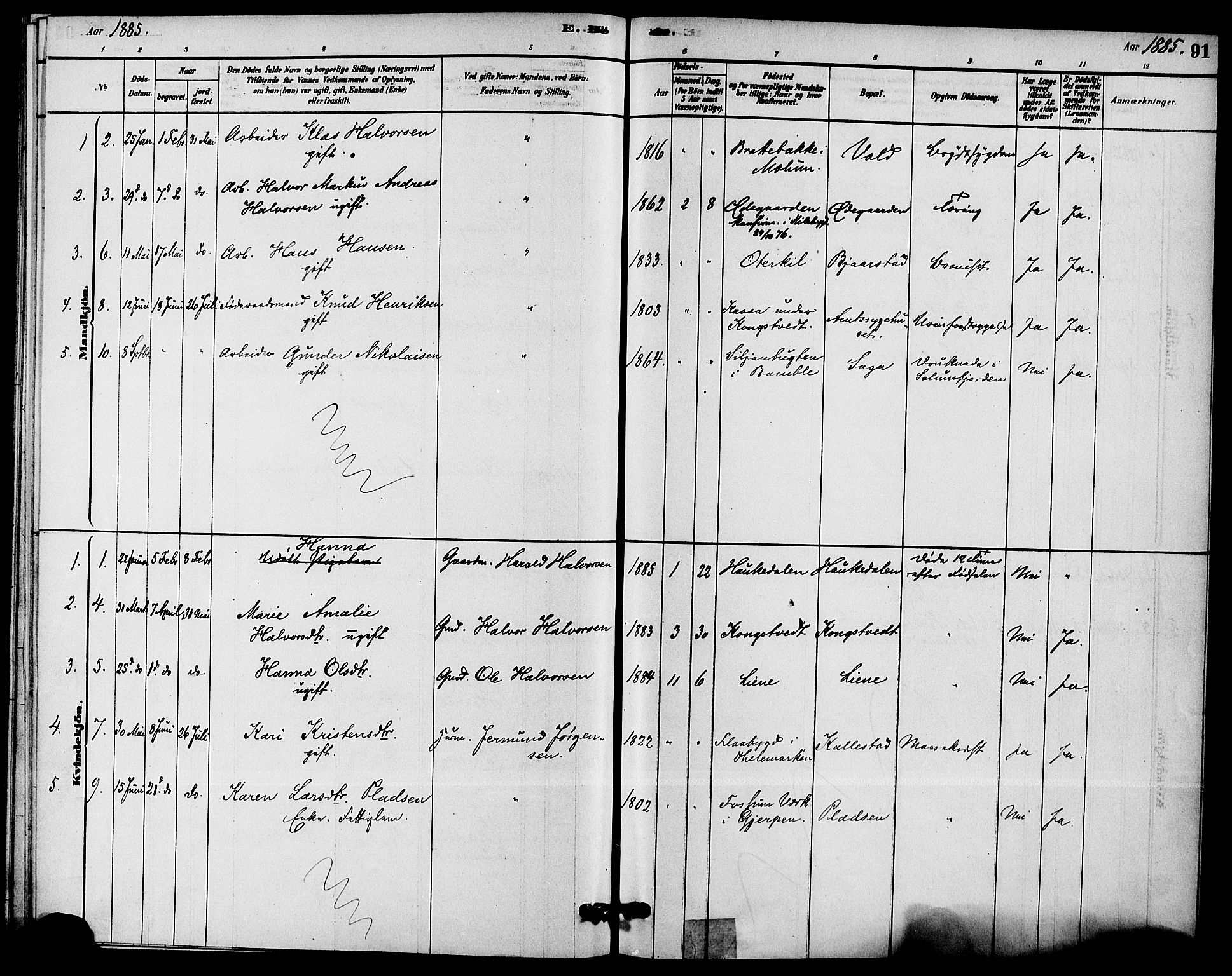 Solum kirkebøker, SAKO/A-306/F/Fc/L0001: Parish register (official) no. III 1, 1877-1891, p. 91