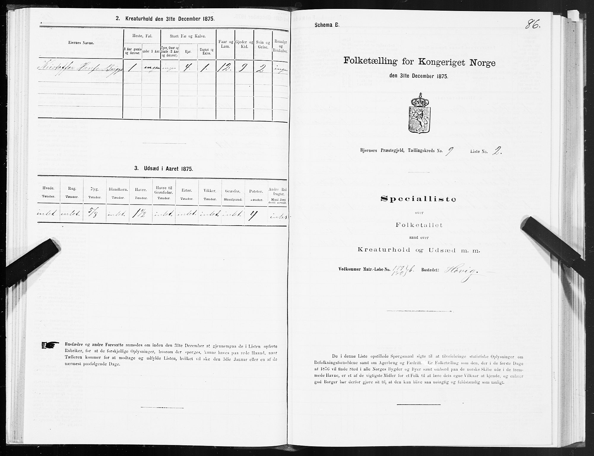 SAT, 1875 census for 1632P Bjørnør, 1875, p. 4086