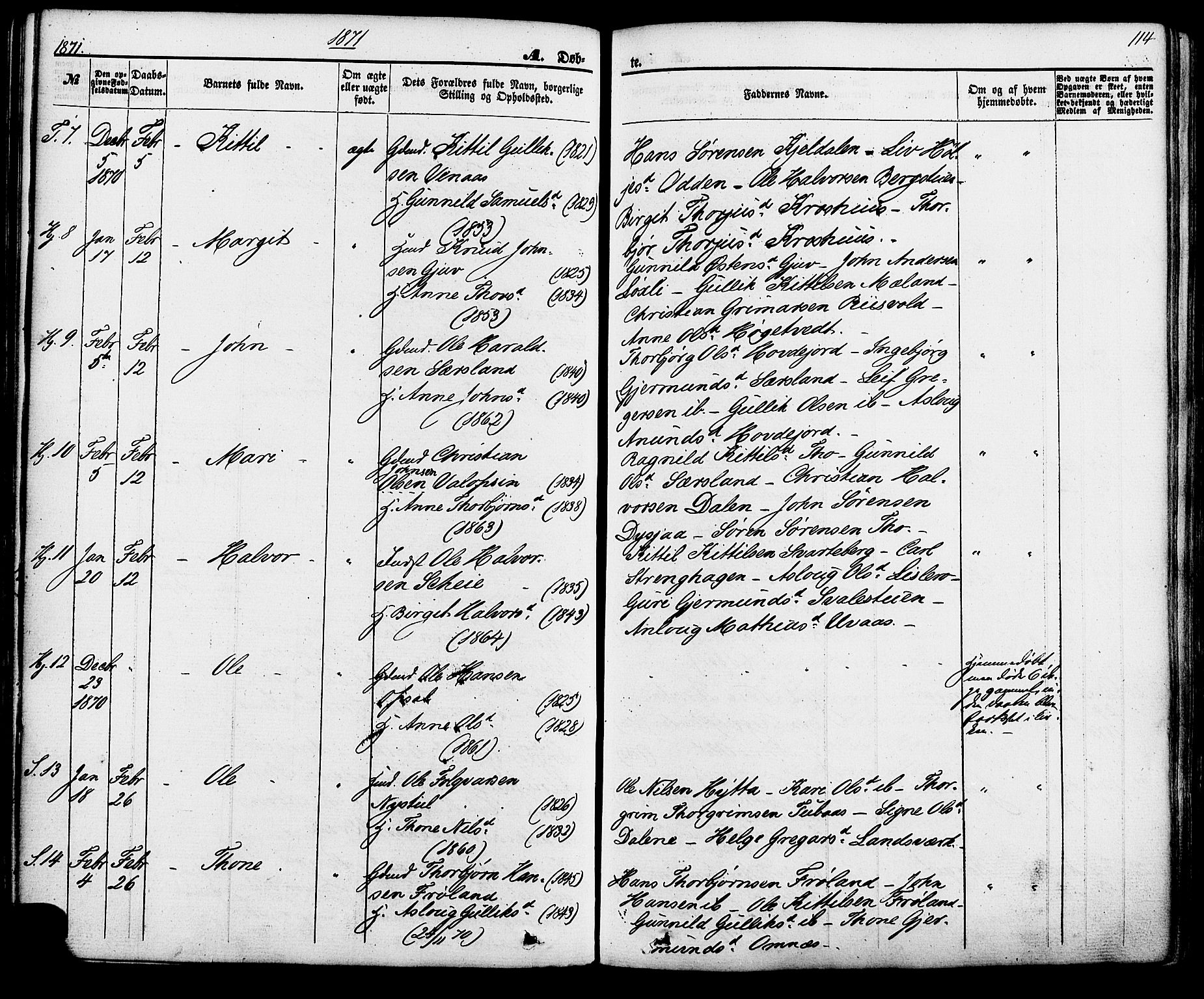 Hjartdal kirkebøker, SAKO/A-270/F/Fa/L0009: Parish register (official) no. I 9, 1860-1879, p. 114