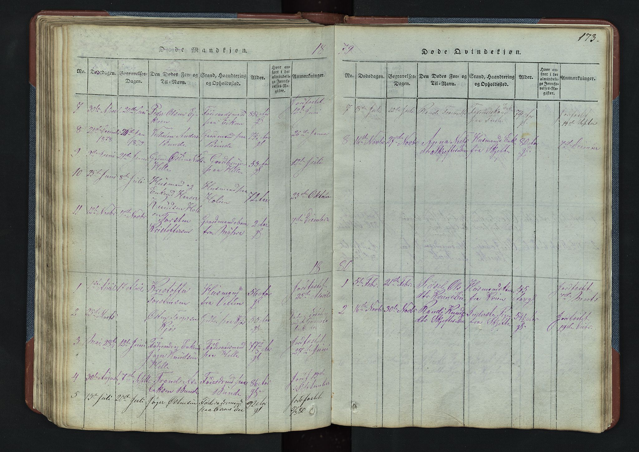 Vang prestekontor, Valdres, SAH/PREST-140/H/Hb/L0003: Parish register (copy) no. 3, 1814-1892, p. 173