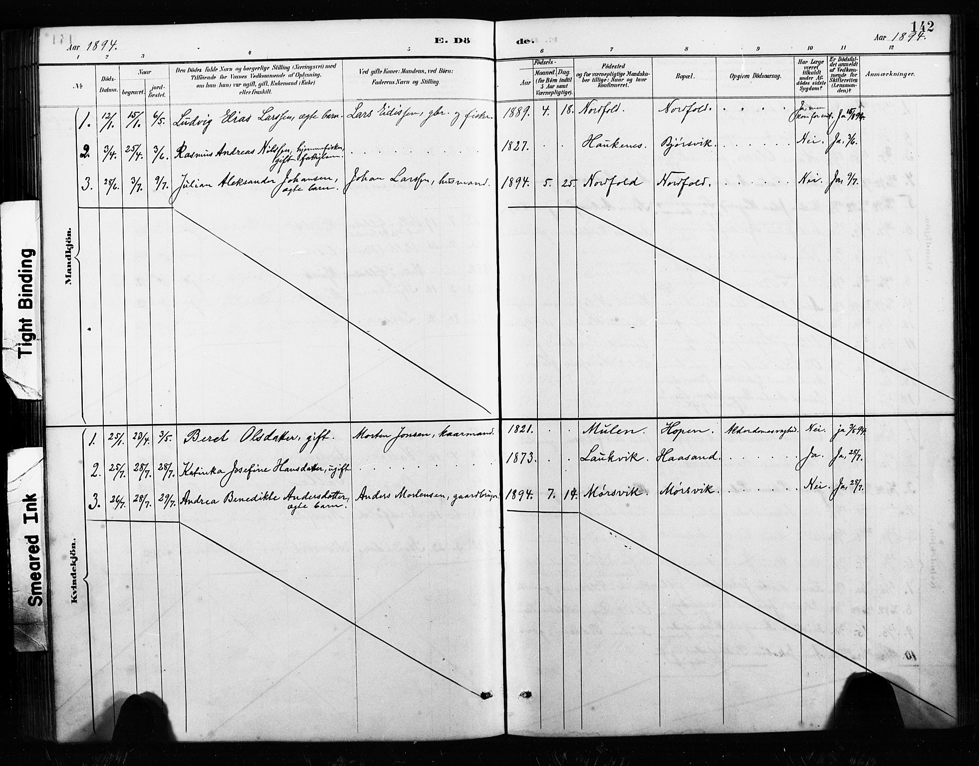 Ministerialprotokoller, klokkerbøker og fødselsregistre - Nordland, AV/SAT-A-1459/858/L0834: Parish register (copy) no. 858C01, 1884-1904, p. 142