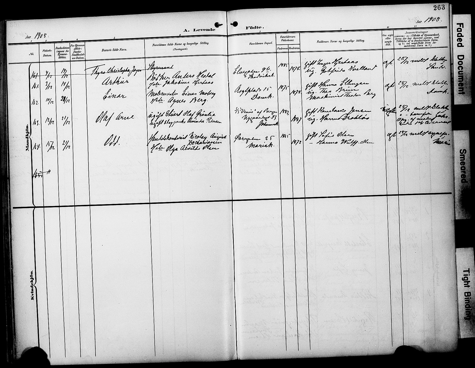 Fødselsstiftelsens sokneprestembete*, SAB/-: Parish register (official) no. A 3, 1901-1910, p. 263