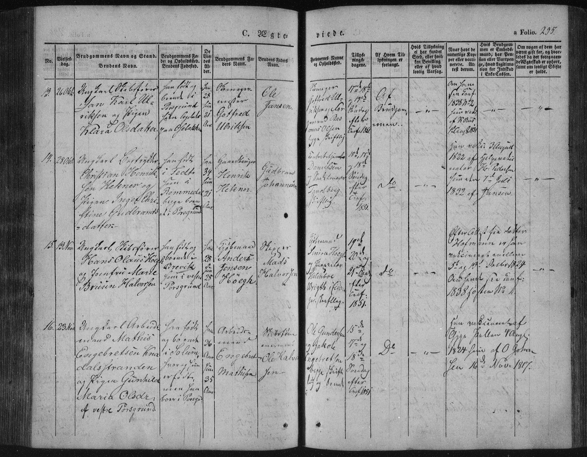 Porsgrunn kirkebøker , SAKO/A-104/F/Fa/L0006: Parish register (official) no. 6, 1841-1857, p. 295