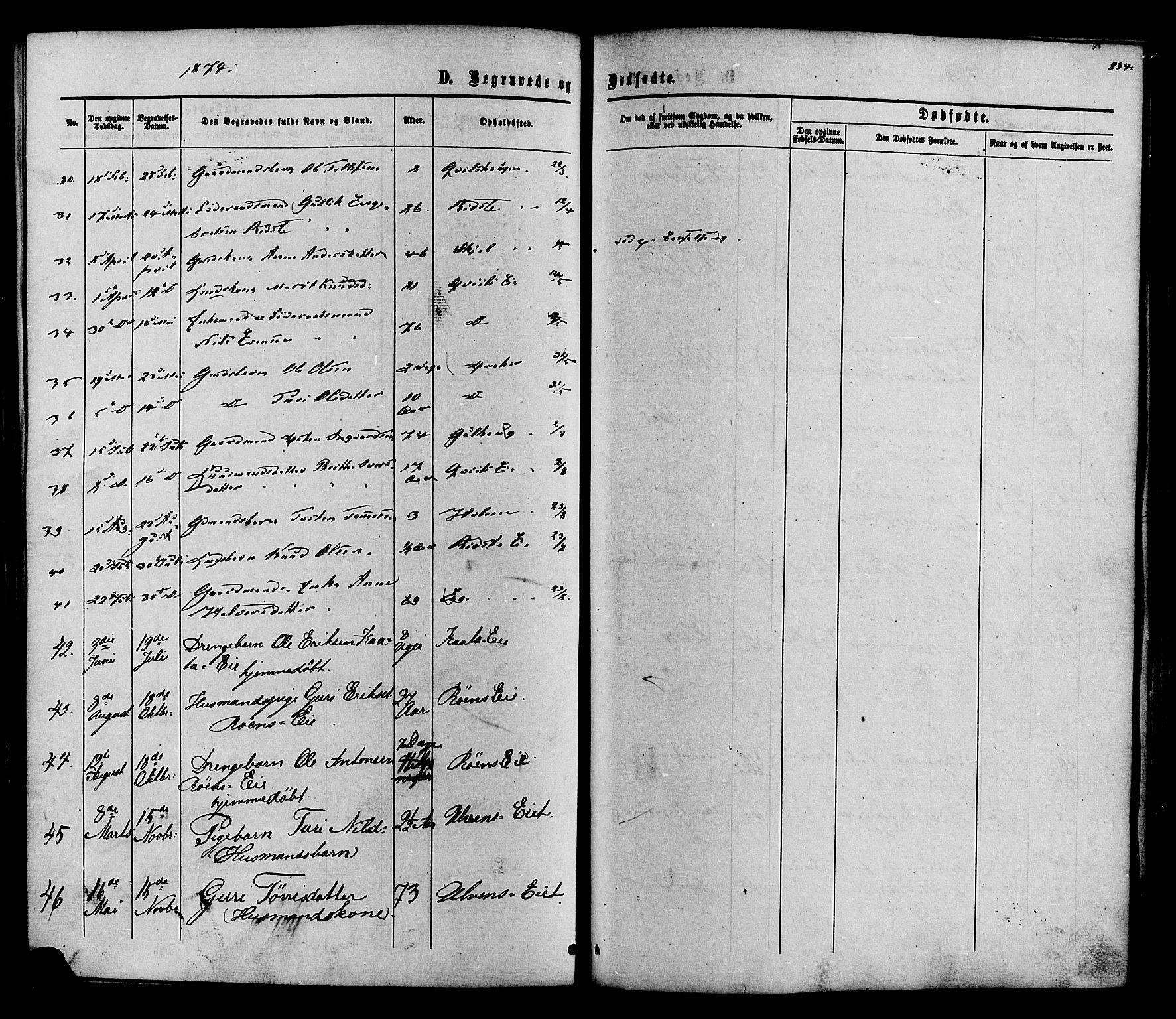 Vestre Slidre prestekontor, SAH/PREST-136/H/Ha/Haa/L0003: Parish register (official) no. 3, 1865-1880, p. 234