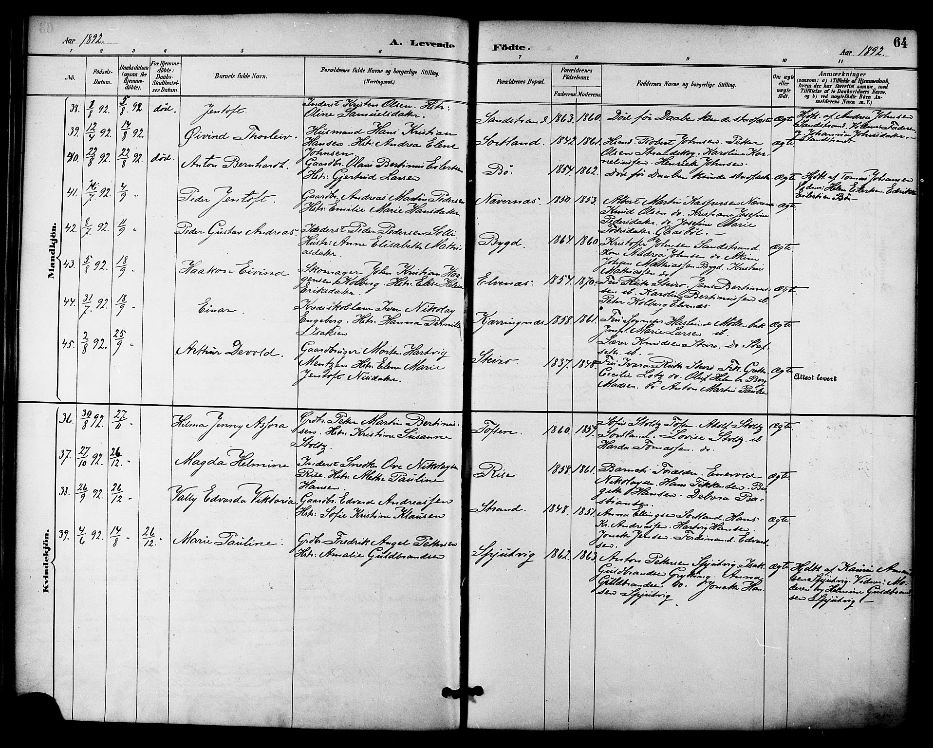 Ministerialprotokoller, klokkerbøker og fødselsregistre - Nordland, AV/SAT-A-1459/895/L1371: Parish register (official) no. 895A06, 1885-1894, p. 64