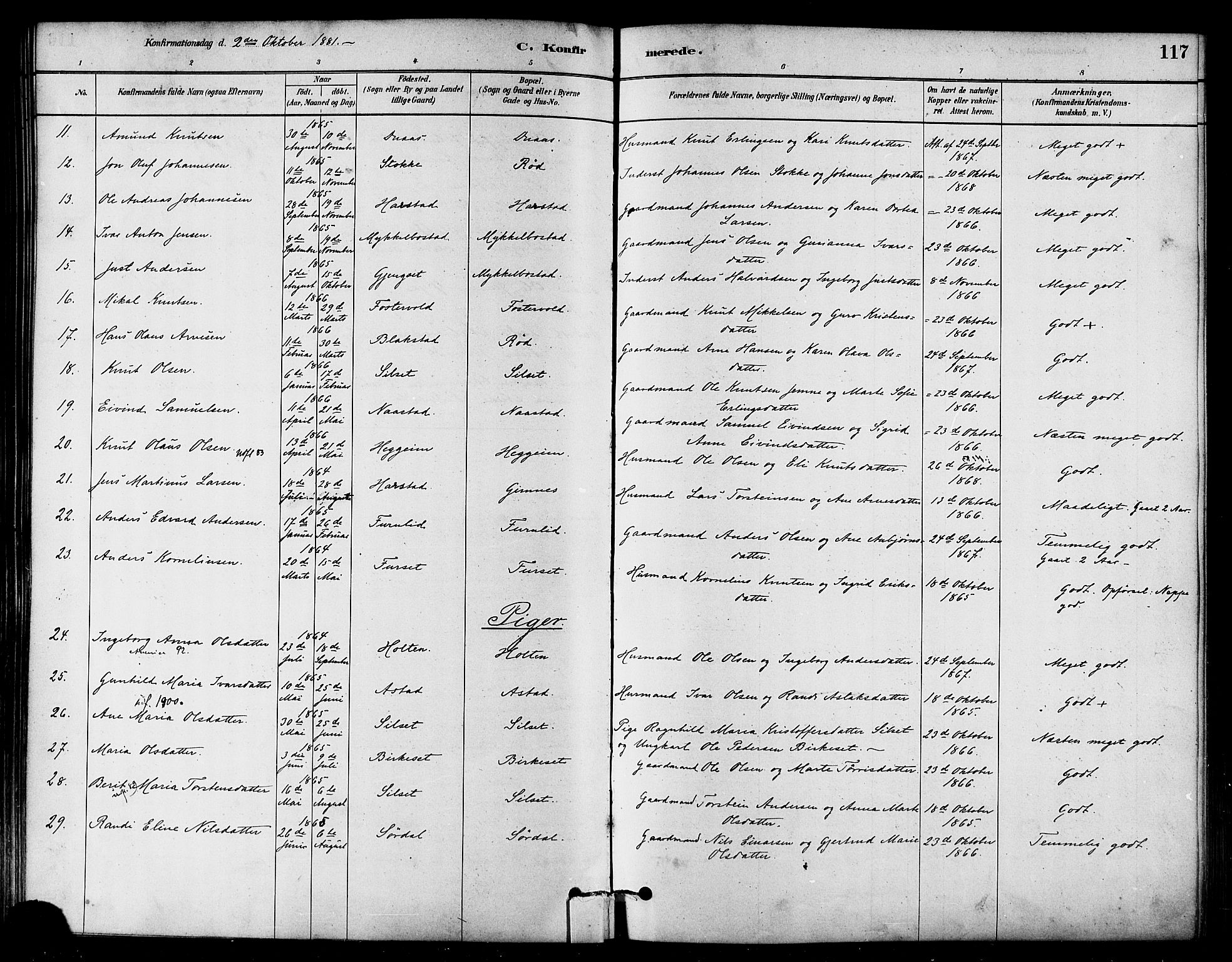 Ministerialprotokoller, klokkerbøker og fødselsregistre - Møre og Romsdal, AV/SAT-A-1454/584/L0967: Parish register (official) no. 584A07, 1879-1894, p. 117