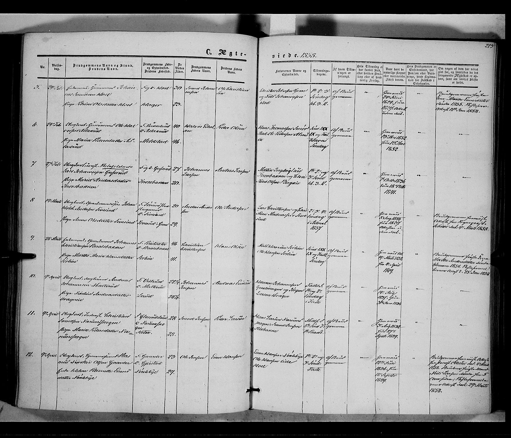 Vestre Toten prestekontor, SAH/PREST-108/H/Ha/Haa/L0006: Parish register (official) no. 6, 1856-1861, p. 223