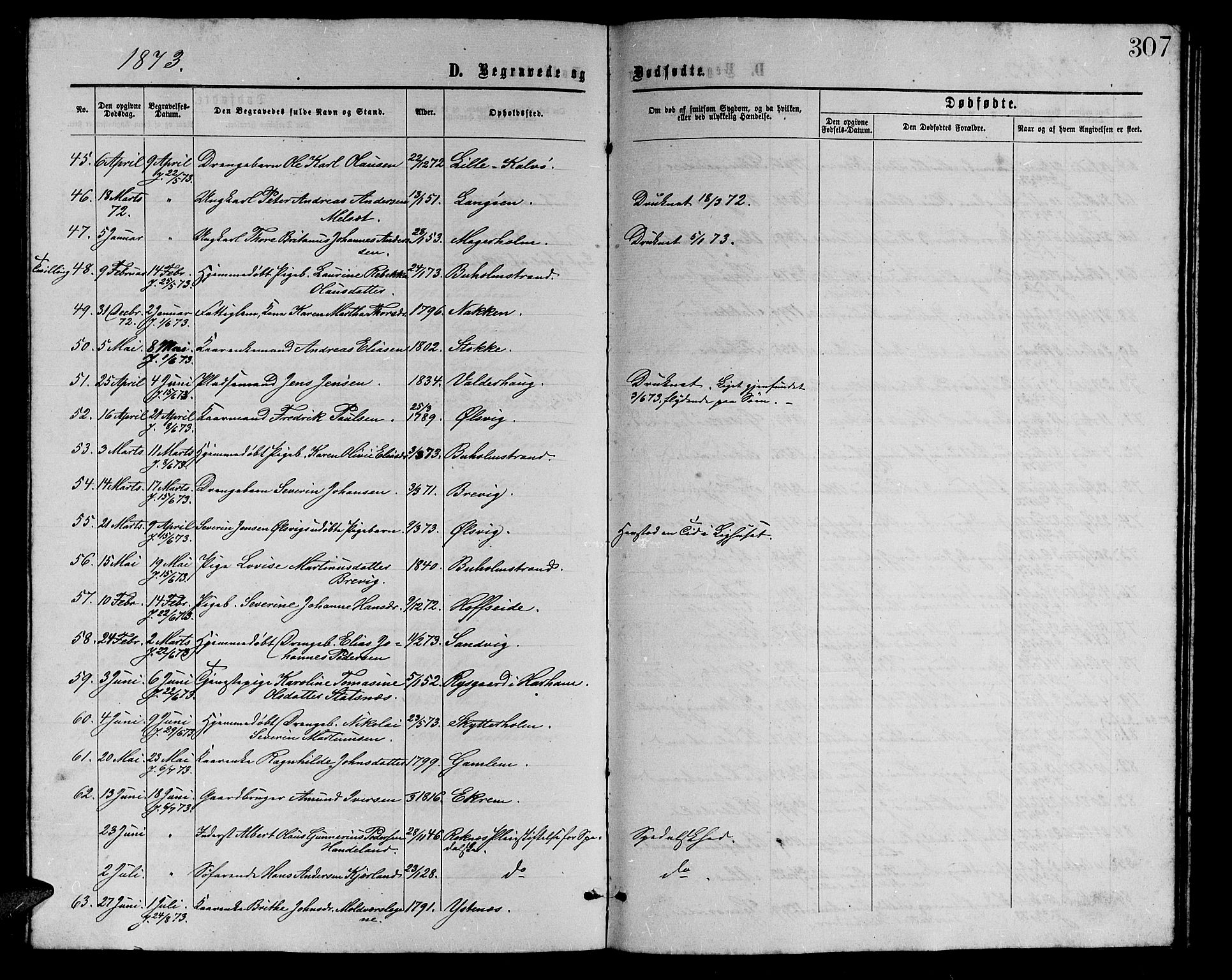 Ministerialprotokoller, klokkerbøker og fødselsregistre - Møre og Romsdal, AV/SAT-A-1454/528/L0428: Parish register (copy) no. 528C09, 1864-1880, p. 307