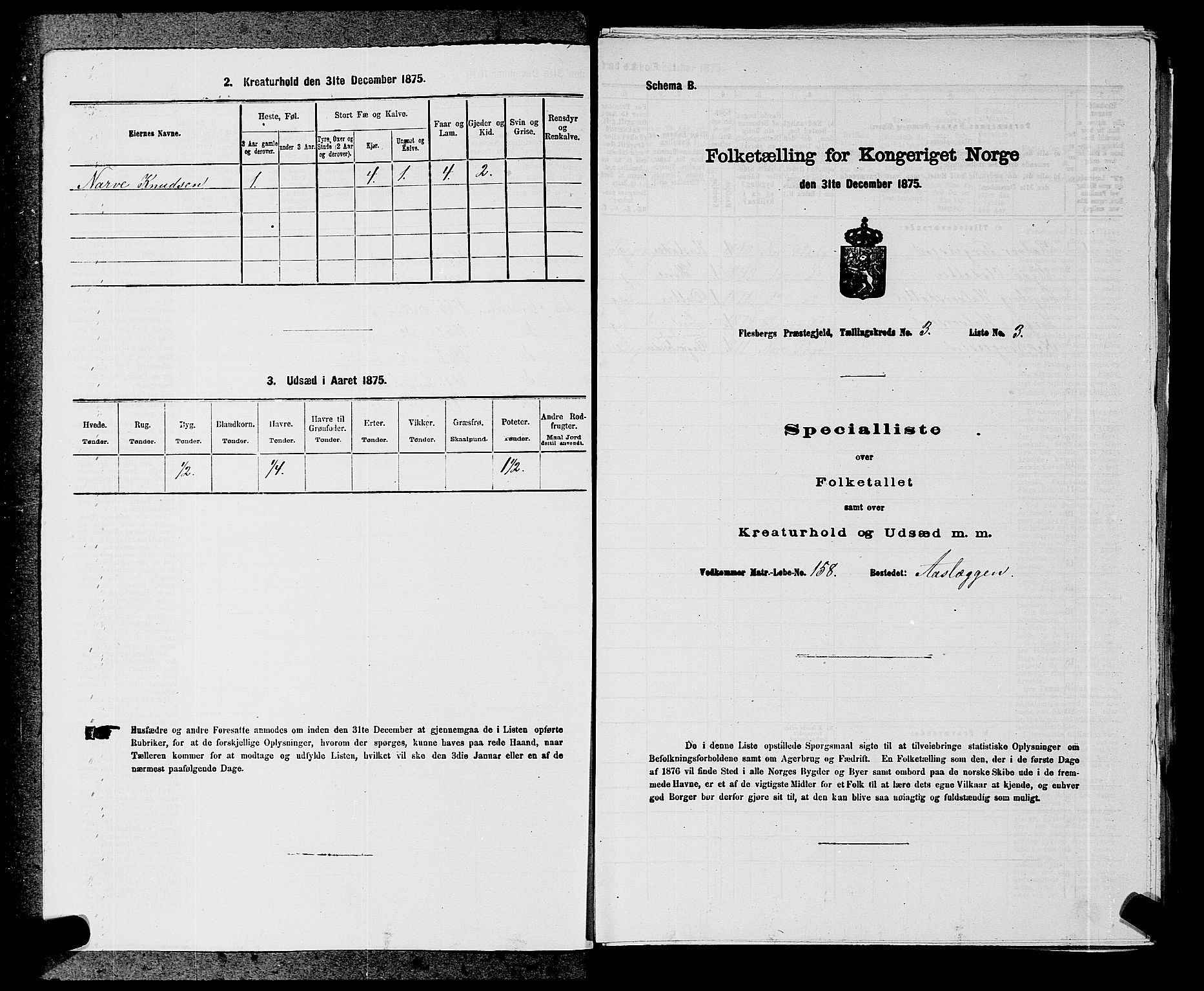 SAKO, 1875 census for 0631P Flesberg, 1875, p. 536