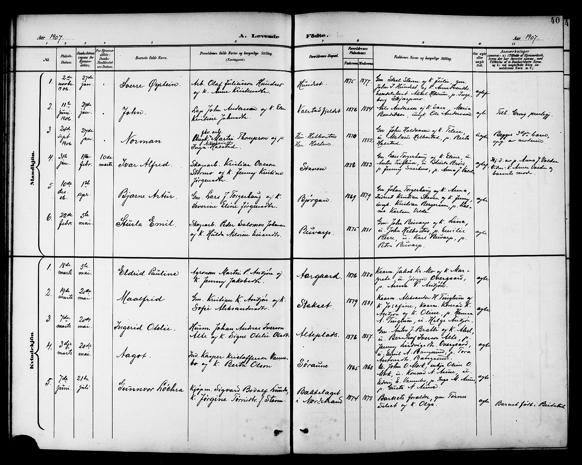 Ministerialprotokoller, klokkerbøker og fødselsregistre - Nord-Trøndelag, AV/SAT-A-1458/742/L0412: Parish register (copy) no. 742C03, 1898-1910, p. 40