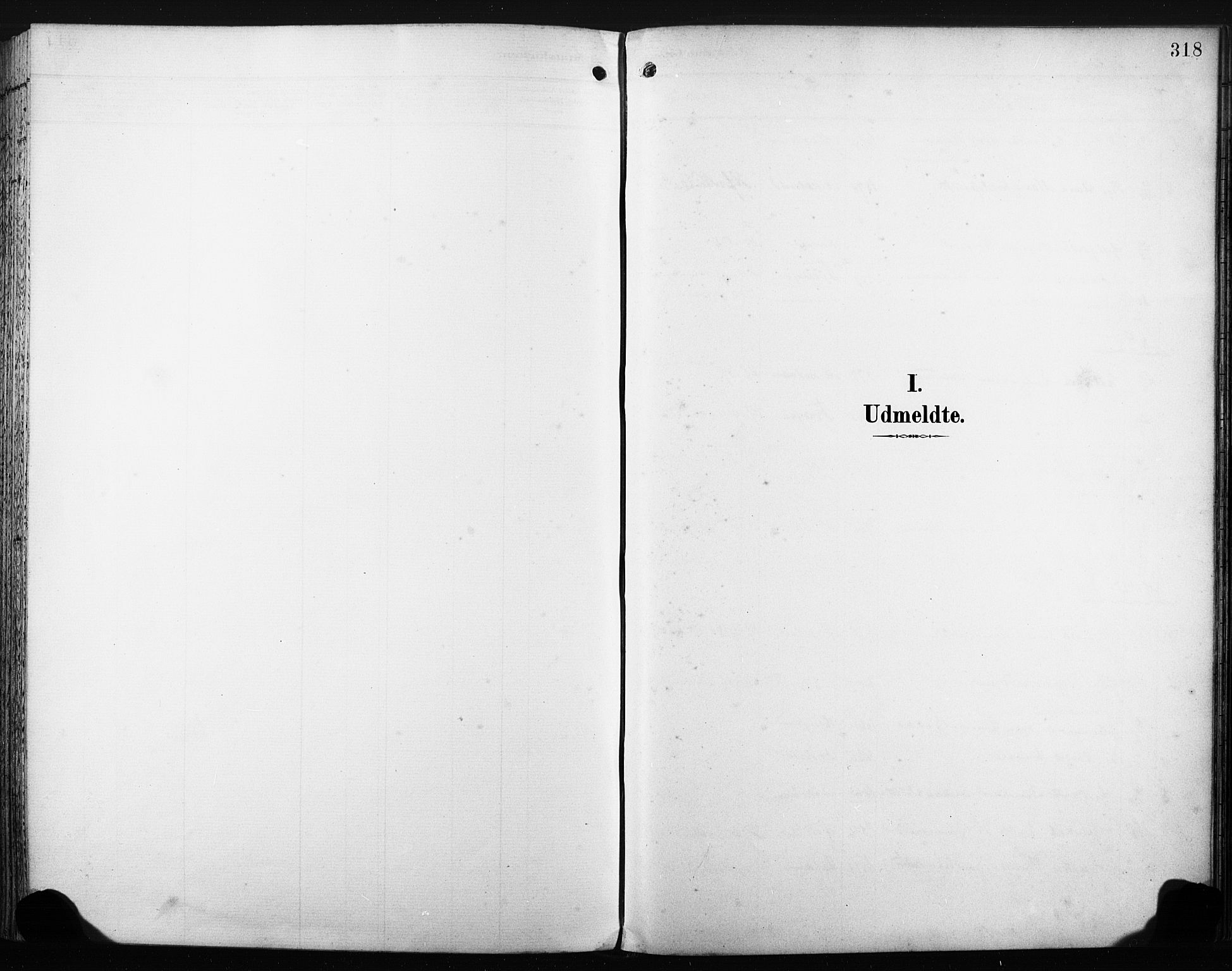 Nedre Eiker kirkebøker, AV/SAKO-A-612/F/Fa/L0005: Parish register (official) no. 5, 1898-1905, p. 318