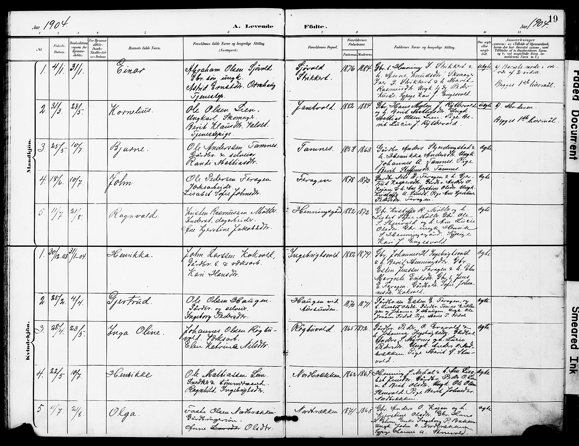 Ministerialprotokoller, klokkerbøker og fødselsregistre - Sør-Trøndelag, SAT/A-1456/683/L0950: Parish register (copy) no. 683C02, 1897-1918, p. 19
