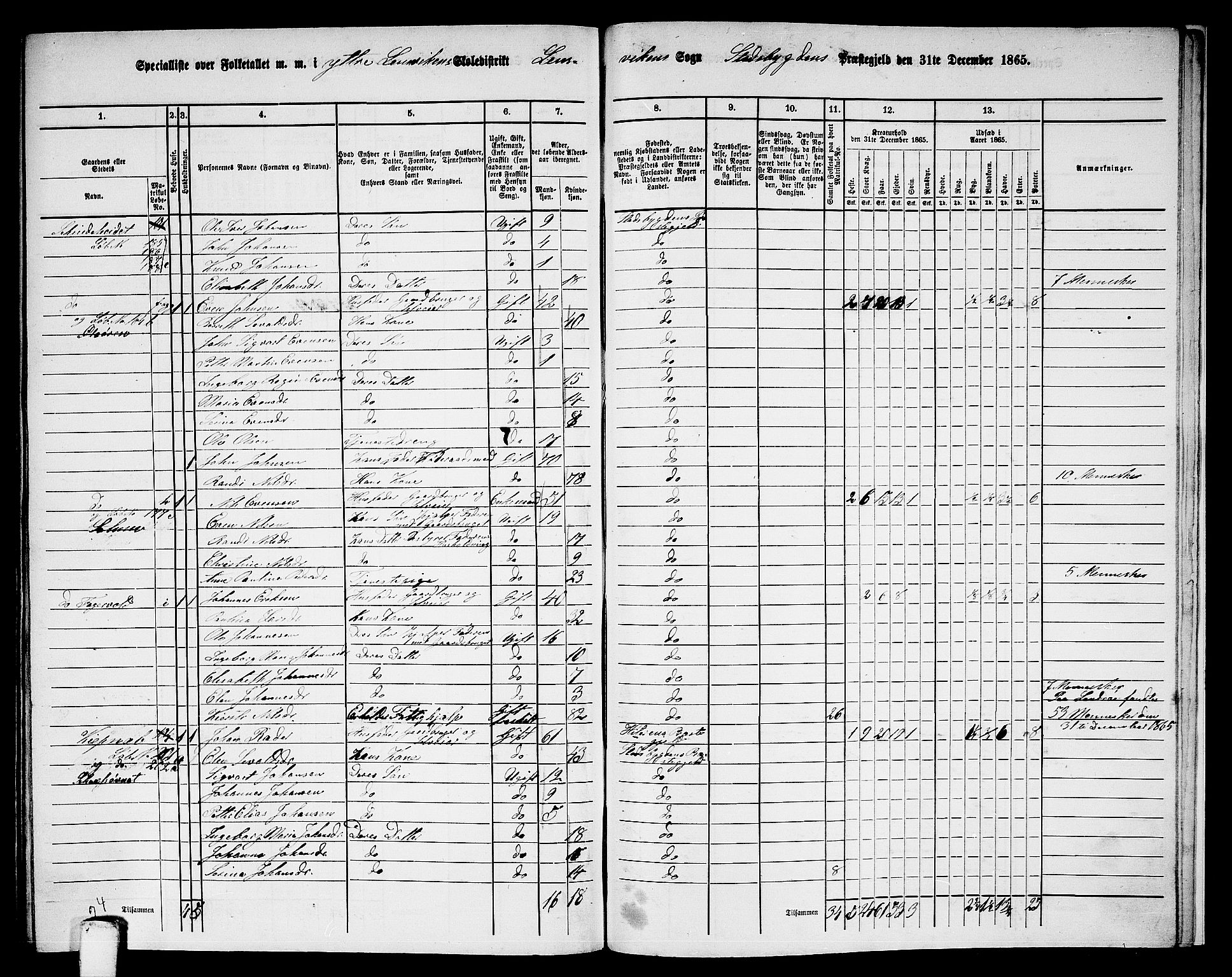 RA, 1865 census for Stadsbygd, 1865, p. 218