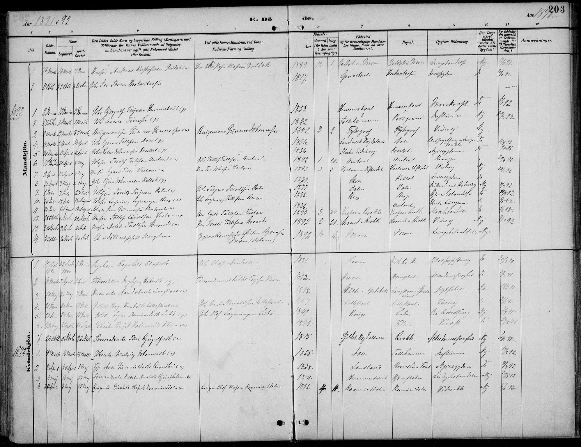 Kviteseid kirkebøker, SAKO/A-276/F/Fb/L0002: Parish register (official) no. II 2, 1882-1916, p. 203