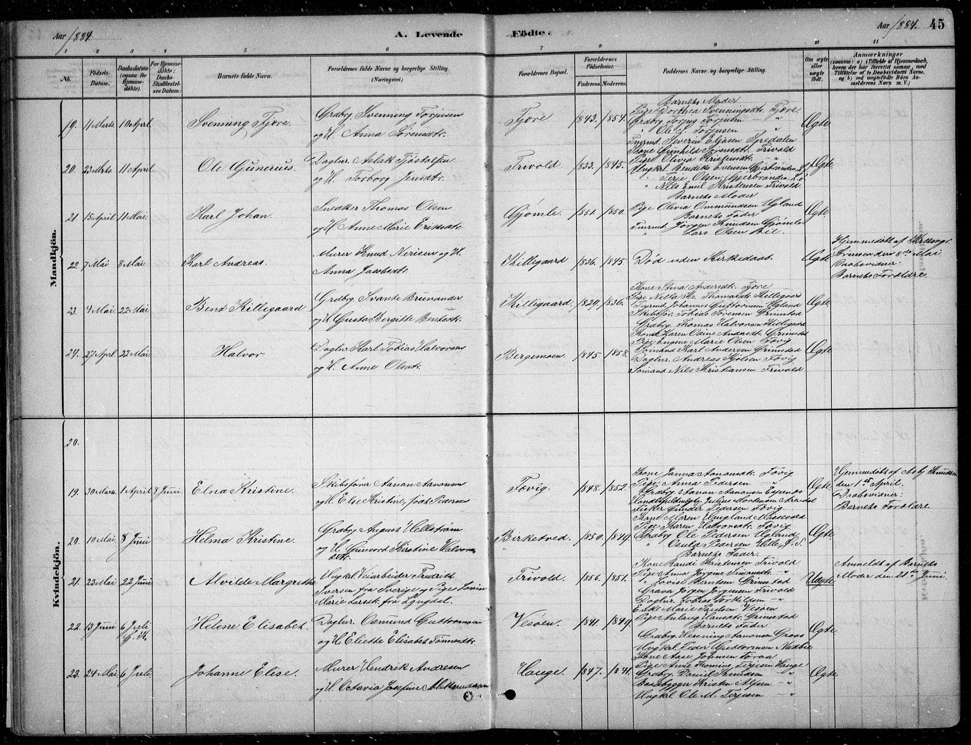 Fjære sokneprestkontor, SAK/1111-0011/F/Fb/L0011: Parish register (copy) no. B 11, 1881-1905, p. 45