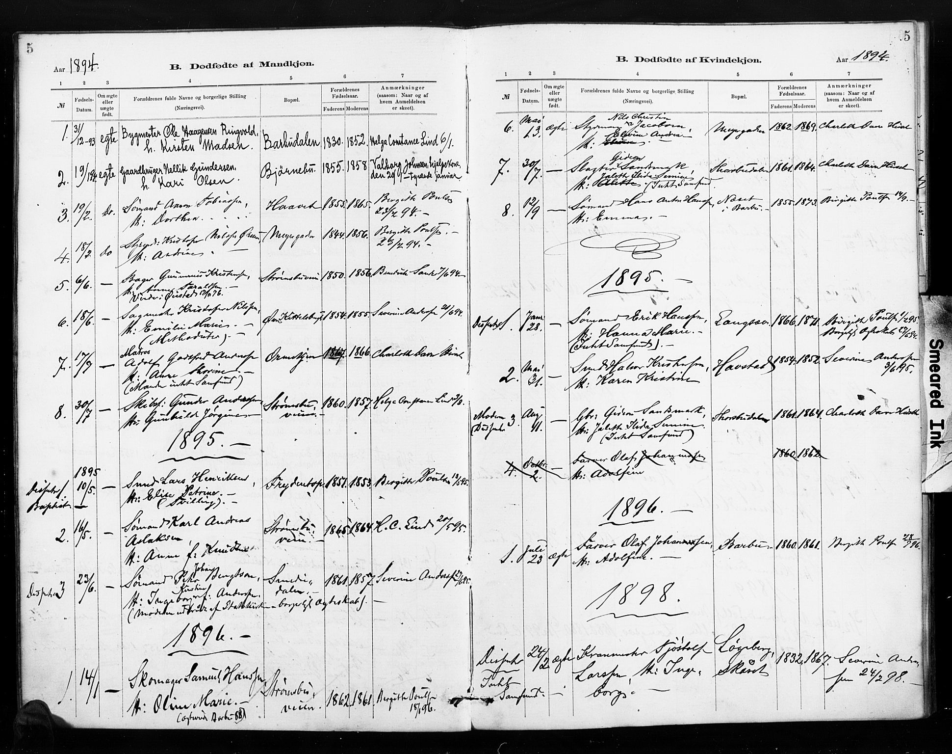 Barbu sokneprestkontor, AV/SAK-1111-0003/F/Fa/L0004: Parish register (official) no. A 4, 1883-1909, p. 5