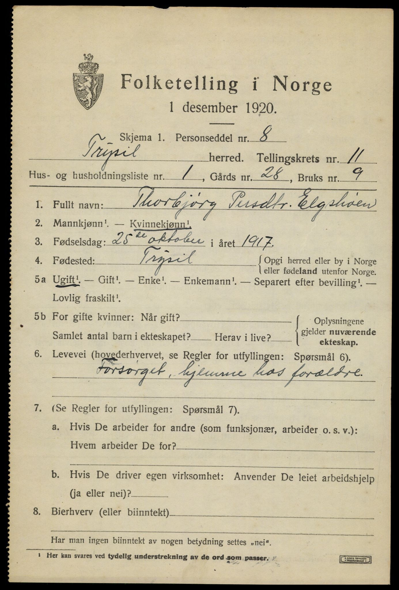 SAH, 1920 census for Trysil, 1920, p. 6971