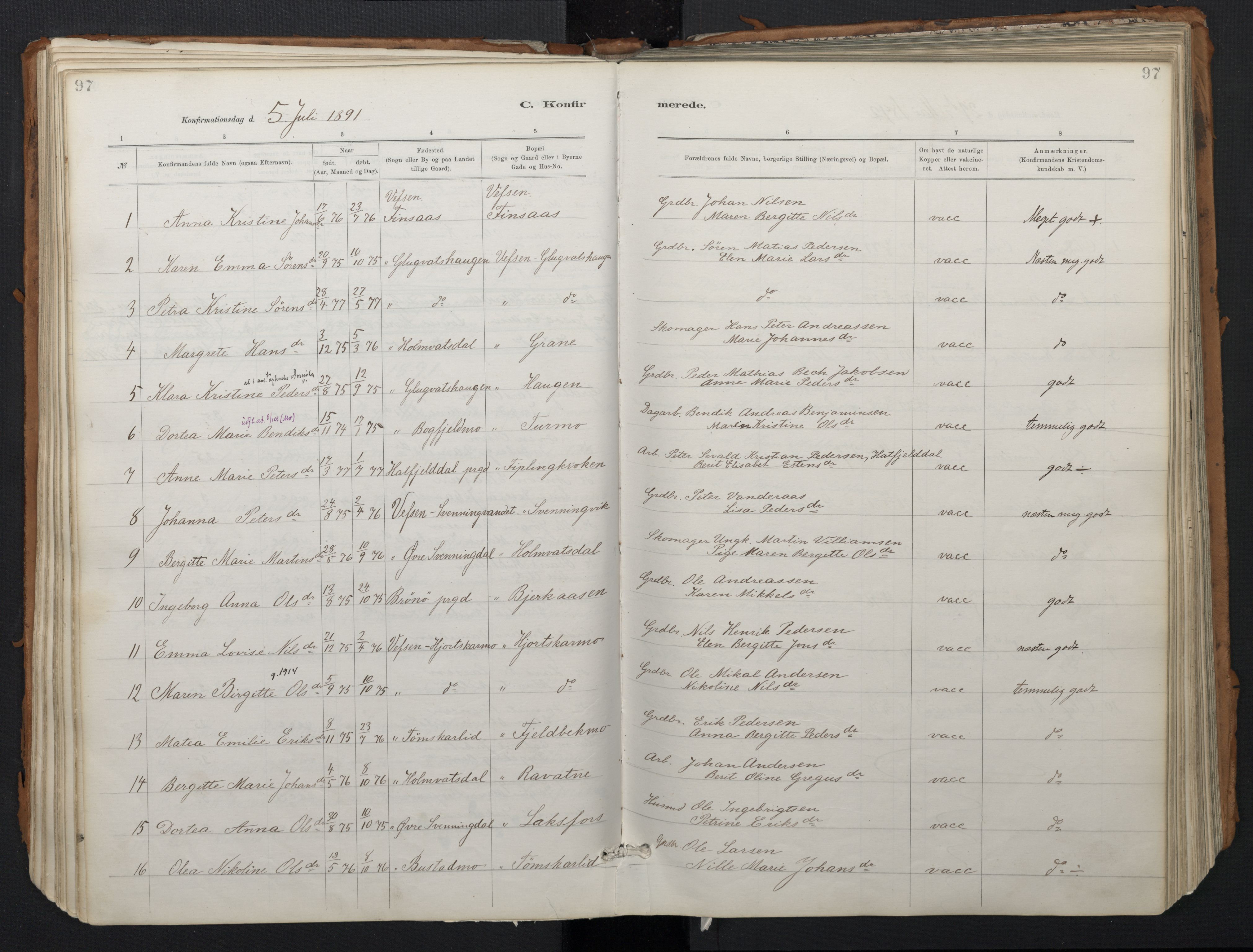 Ministerialprotokoller, klokkerbøker og fødselsregistre - Nordland, AV/SAT-A-1459/824/L0338: Parish register (official) no. 824A01, 1880-1915, p. 97