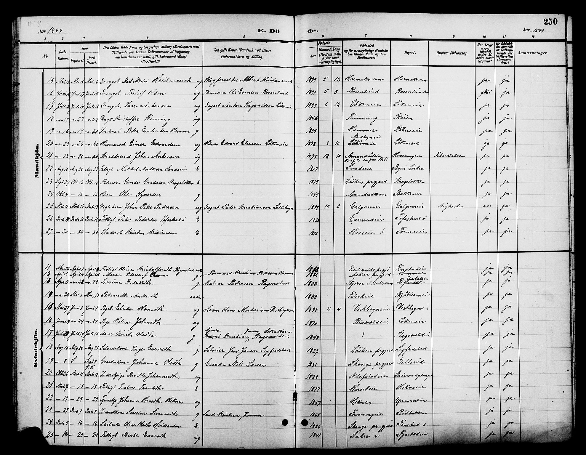 Romedal prestekontor, AV/SAH-PREST-004/L/L0012: Parish register (copy) no. 12, 1896-1914, p. 250