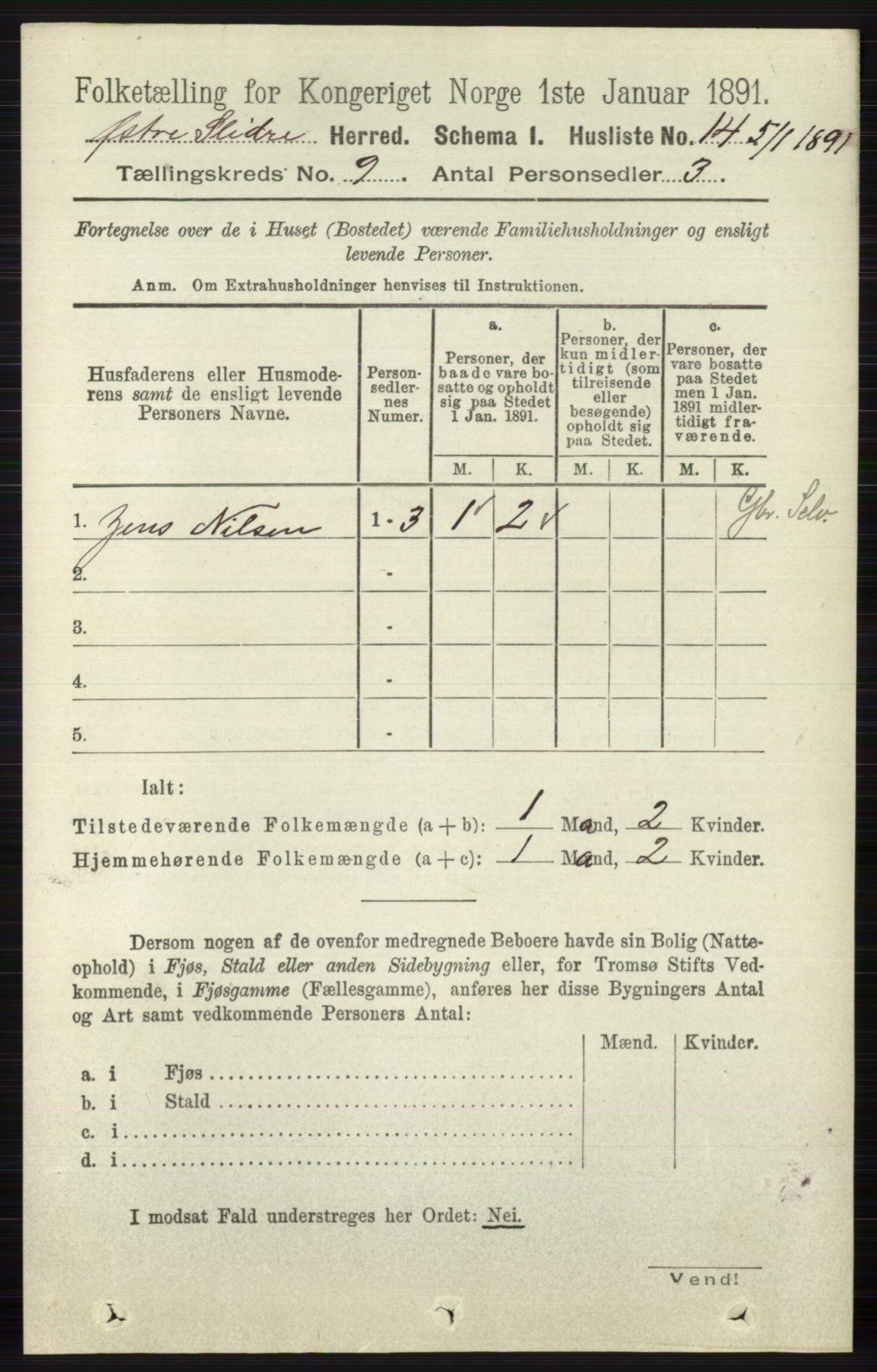 RA, 1891 census for 0544 Øystre Slidre, 1891, p. 3029