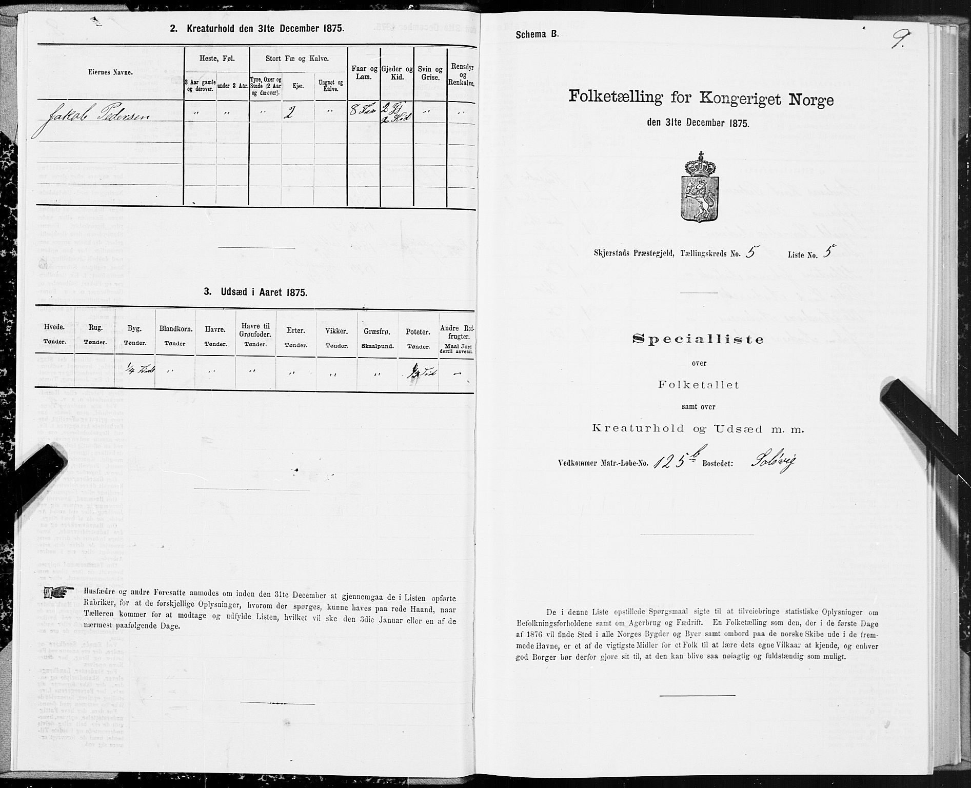 SAT, 1875 census for 1842P Skjerstad, 1875, p. 3009