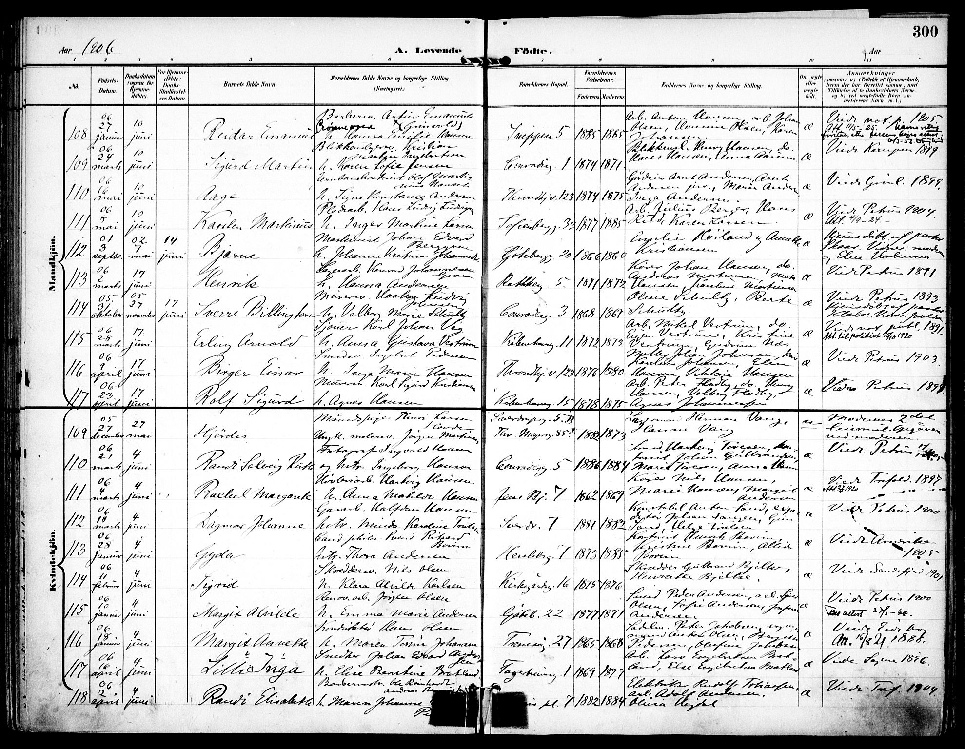 Petrus prestekontor Kirkebøker, AV/SAO-A-10872/F/Fa/L0008: Parish register (official) no. I 8, 1899-1909, p. 300