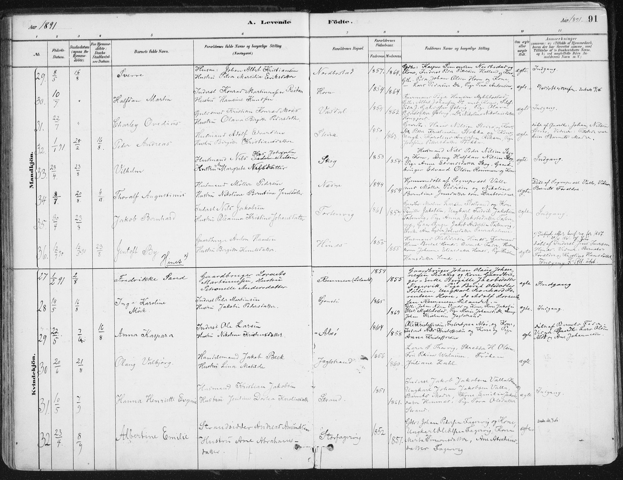 Ministerialprotokoller, klokkerbøker og fødselsregistre - Nordland, AV/SAT-A-1459/838/L0552: Parish register (official) no. 838A10, 1880-1910, p. 91