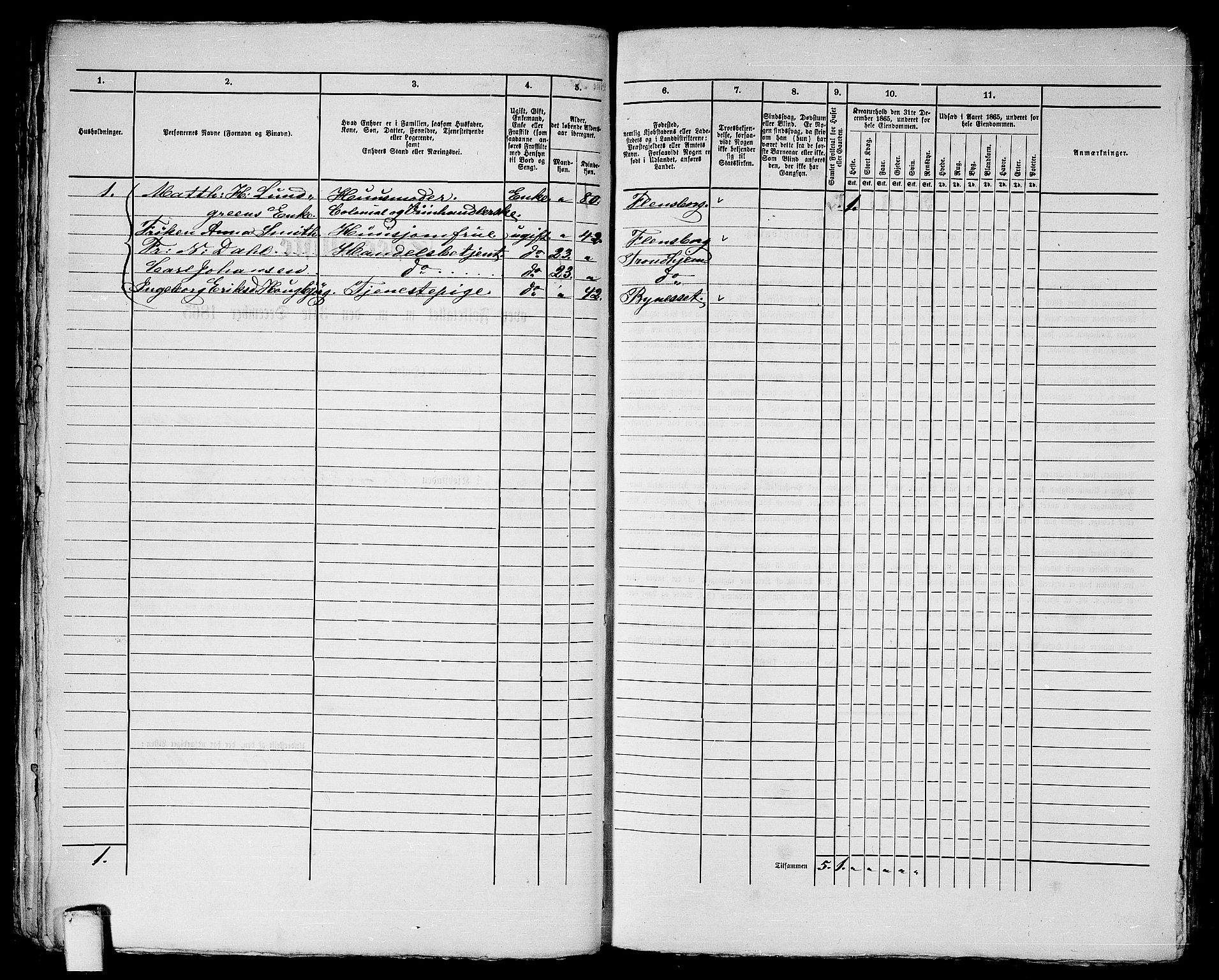 RA, 1865 census for Trondheim, 1865, p. 1175