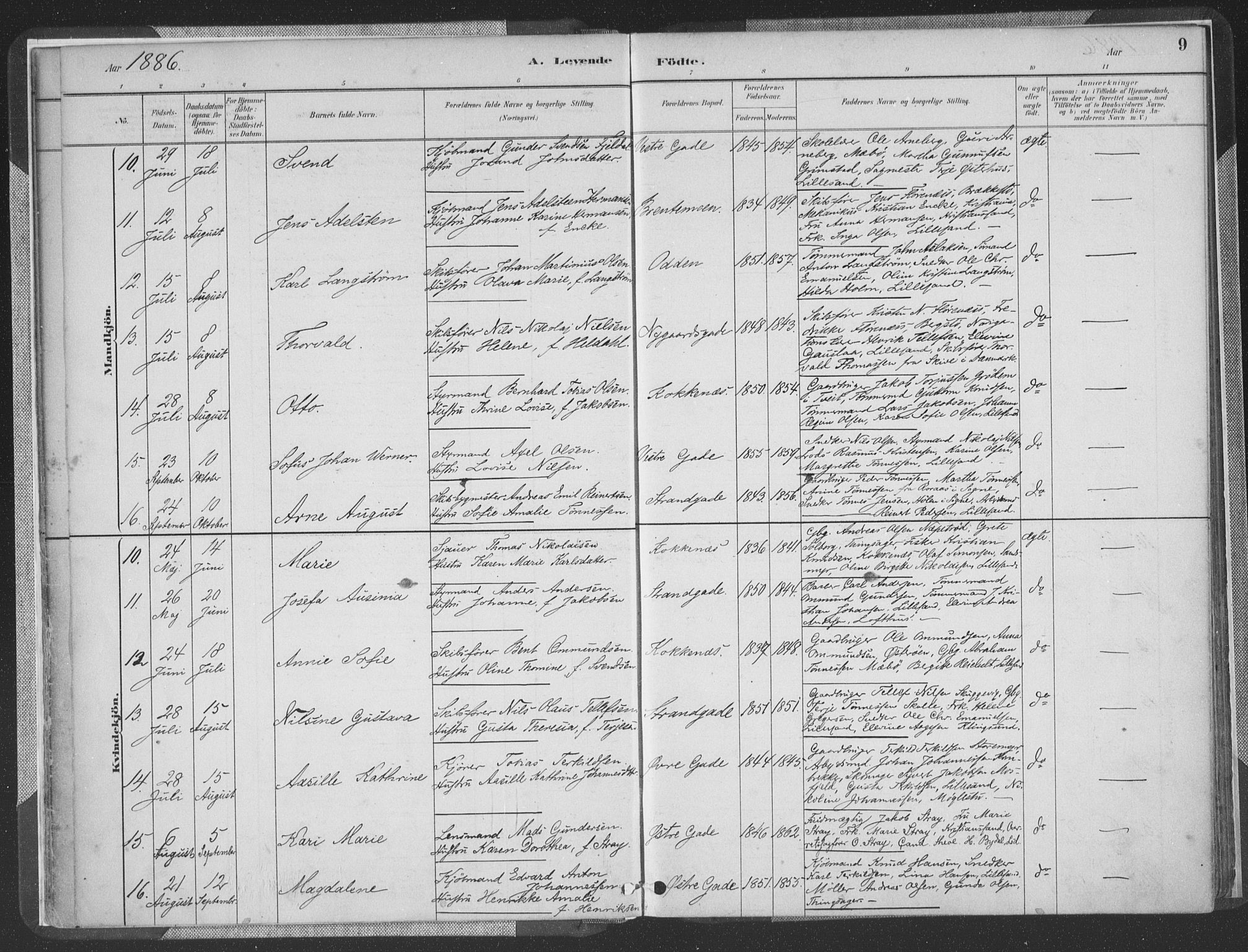 Vestre Moland sokneprestkontor, SAK/1111-0046/F/Fa/Faa/L0001: Parish register (official) no. A 1, 1884-1899, p. 10
