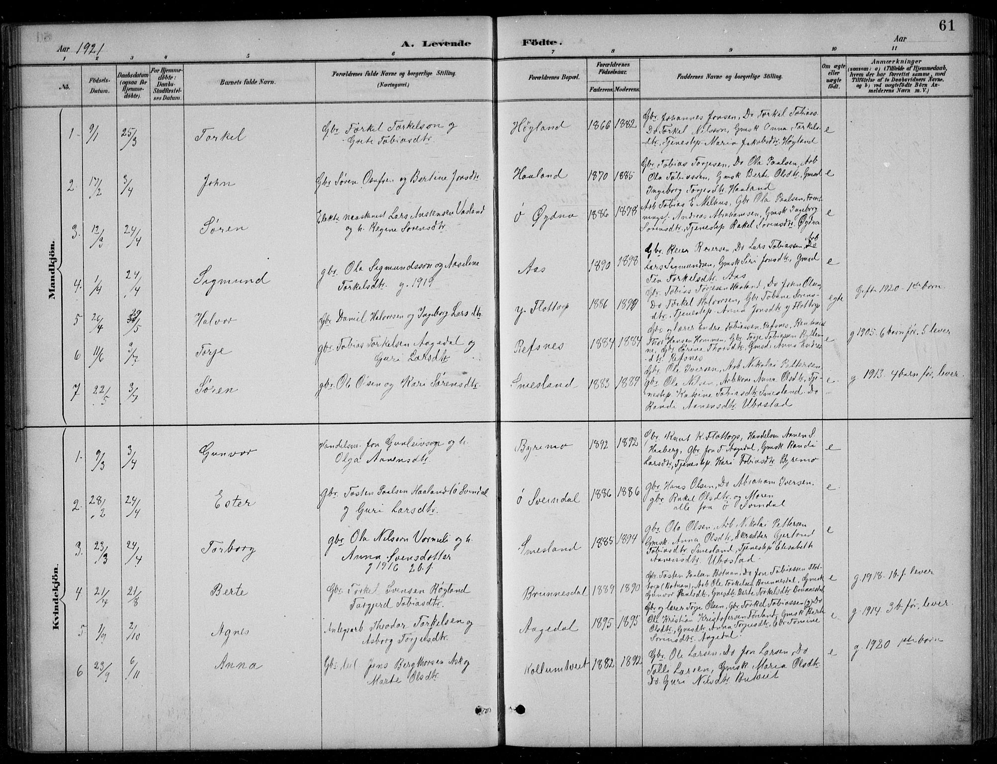 Bjelland sokneprestkontor, SAK/1111-0005/F/Fb/Fbc/L0003: Parish register (copy) no. B 3, 1887-1924, p. 61