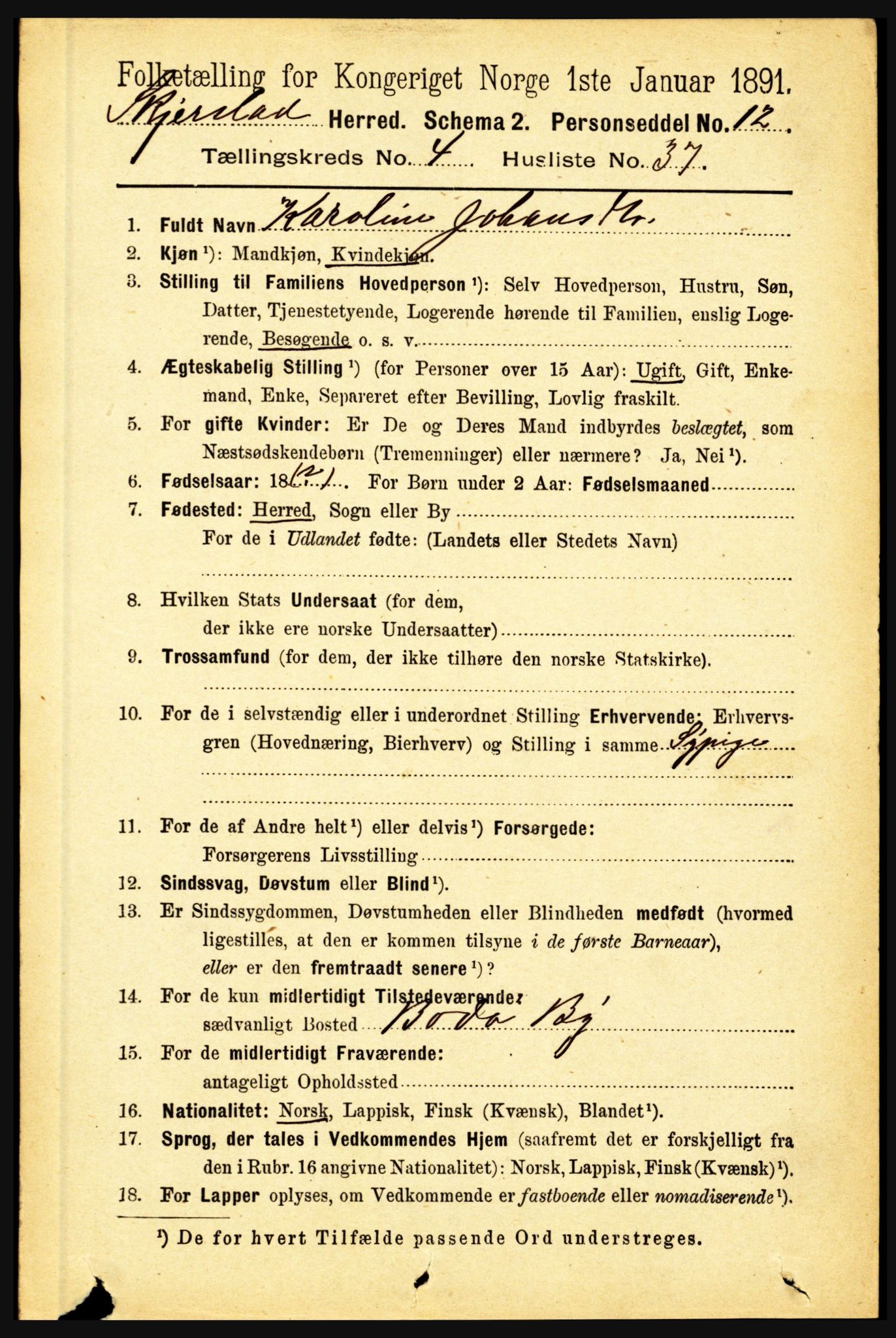 RA, 1891 census for 1842 Skjerstad, 1891, p. 1395