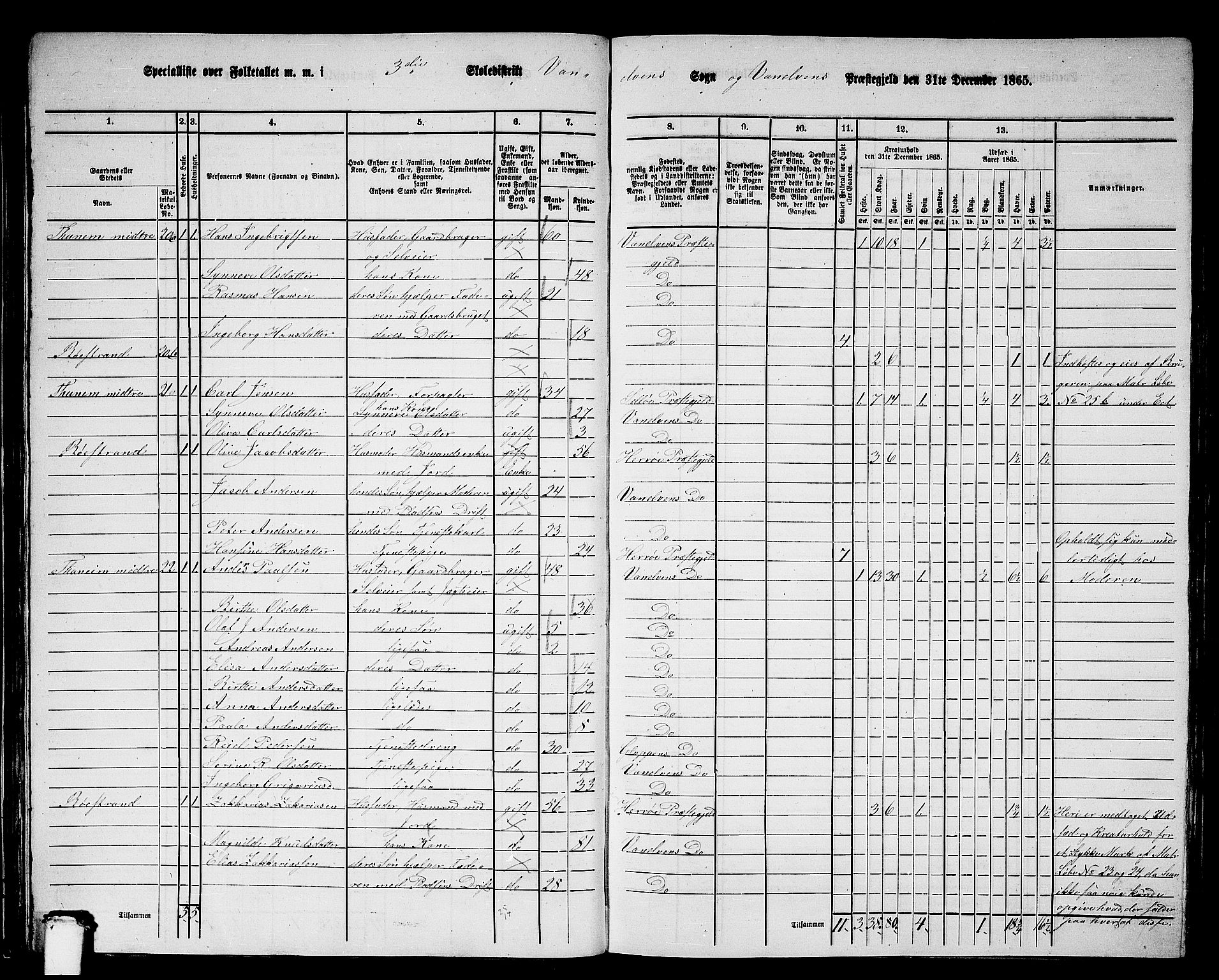 RA, 1865 census for Vanylven, 1865, p. 47