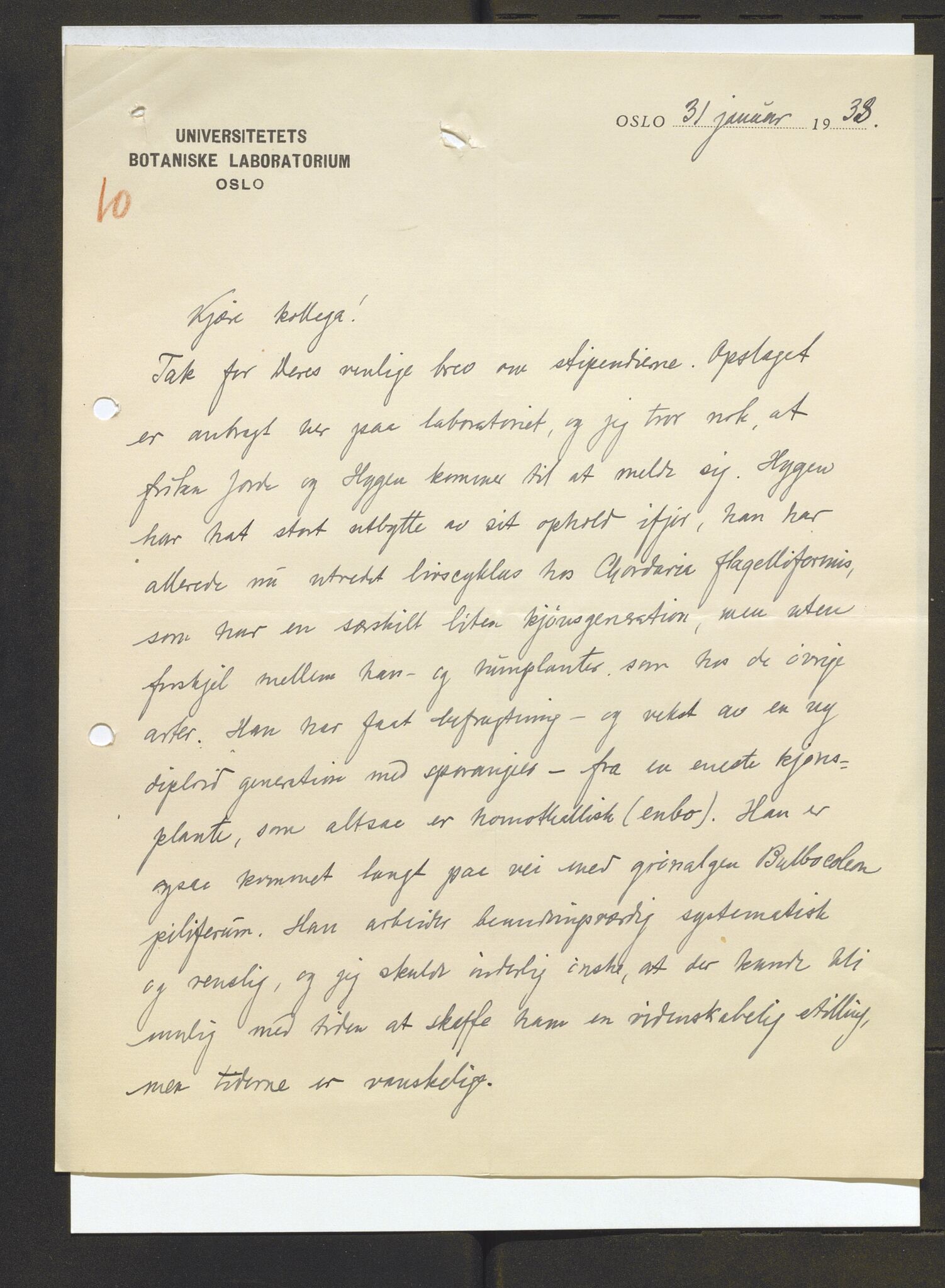 Bergens Museum, AV/SAB-A-17301/13/D/L0002: Korrespondanse , 1928-1940, p. 481