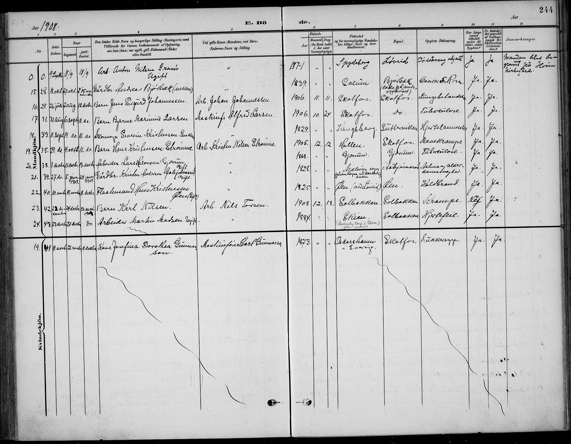 Solum kirkebøker, SAKO/A-306/F/Fb/L0003: Parish register (official) no. II 3, 1901-1912, p. 244