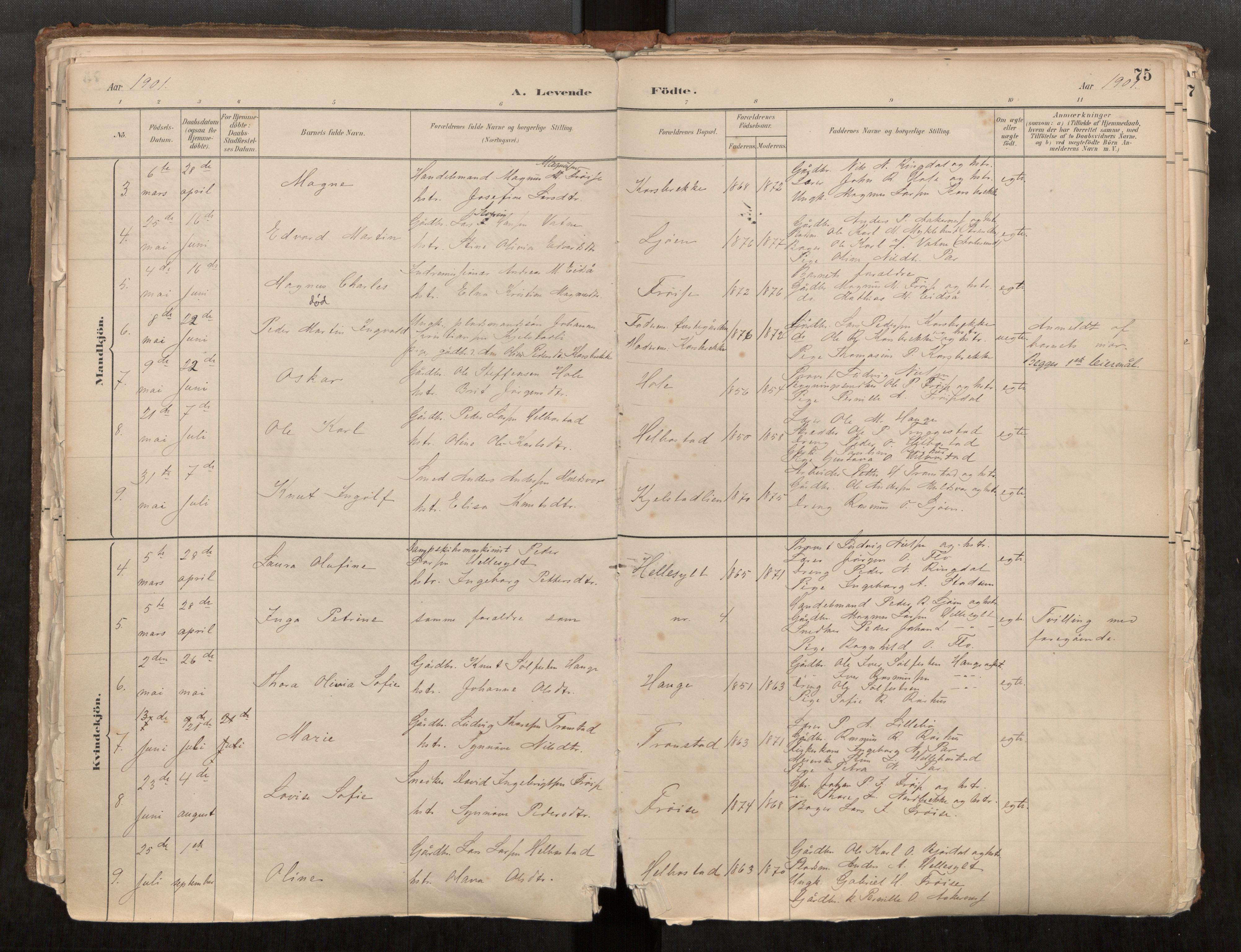 Sunnylven sokneprestkontor, AV/SAT-A-1007: Parish register (official) no. 517A08, 1882-1939, p. 75