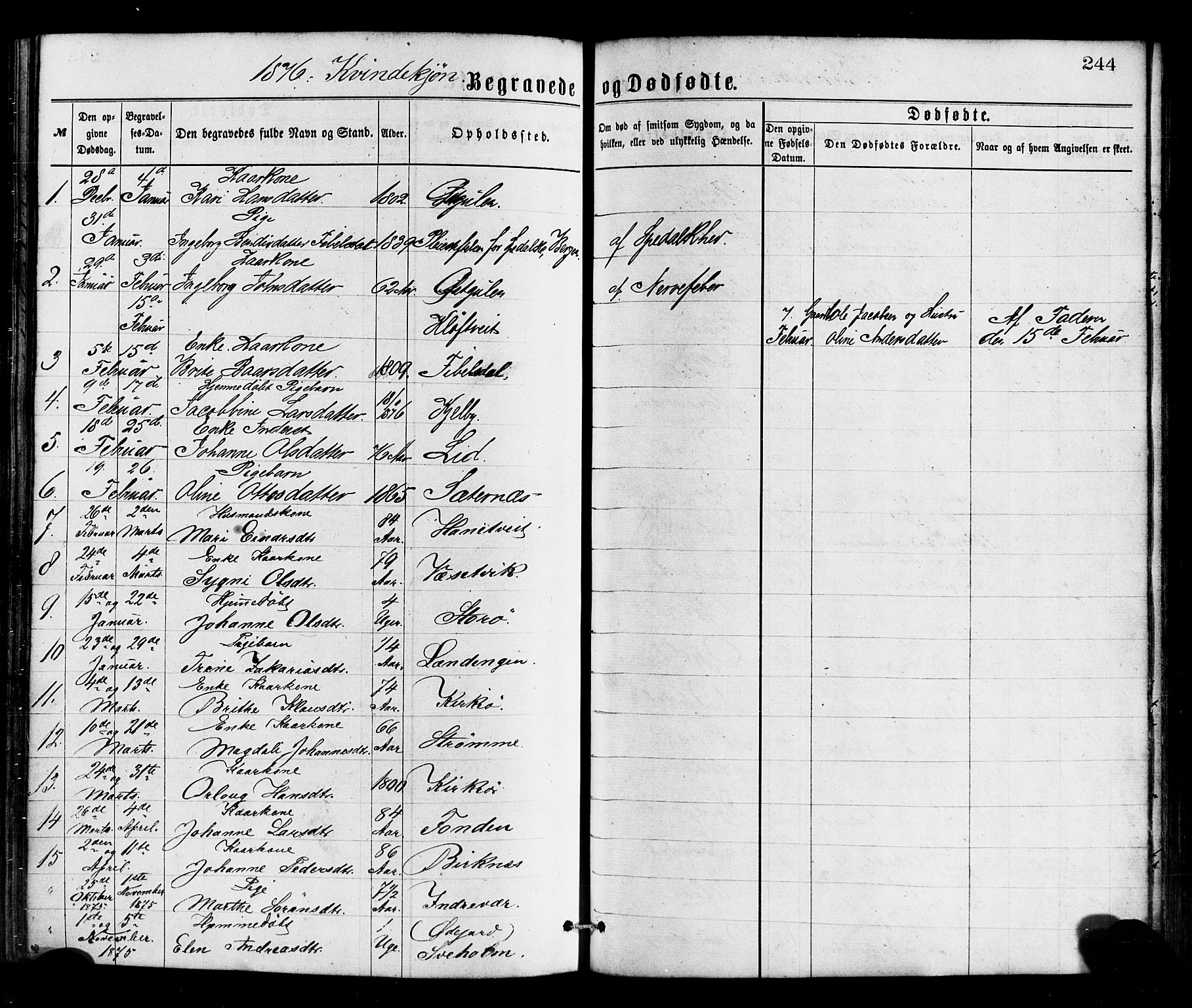 Gulen sokneprestembete, SAB/A-80201/H/Haa/Haaa/L0023: Parish register (official) no. A 23, 1870-1880, p. 244