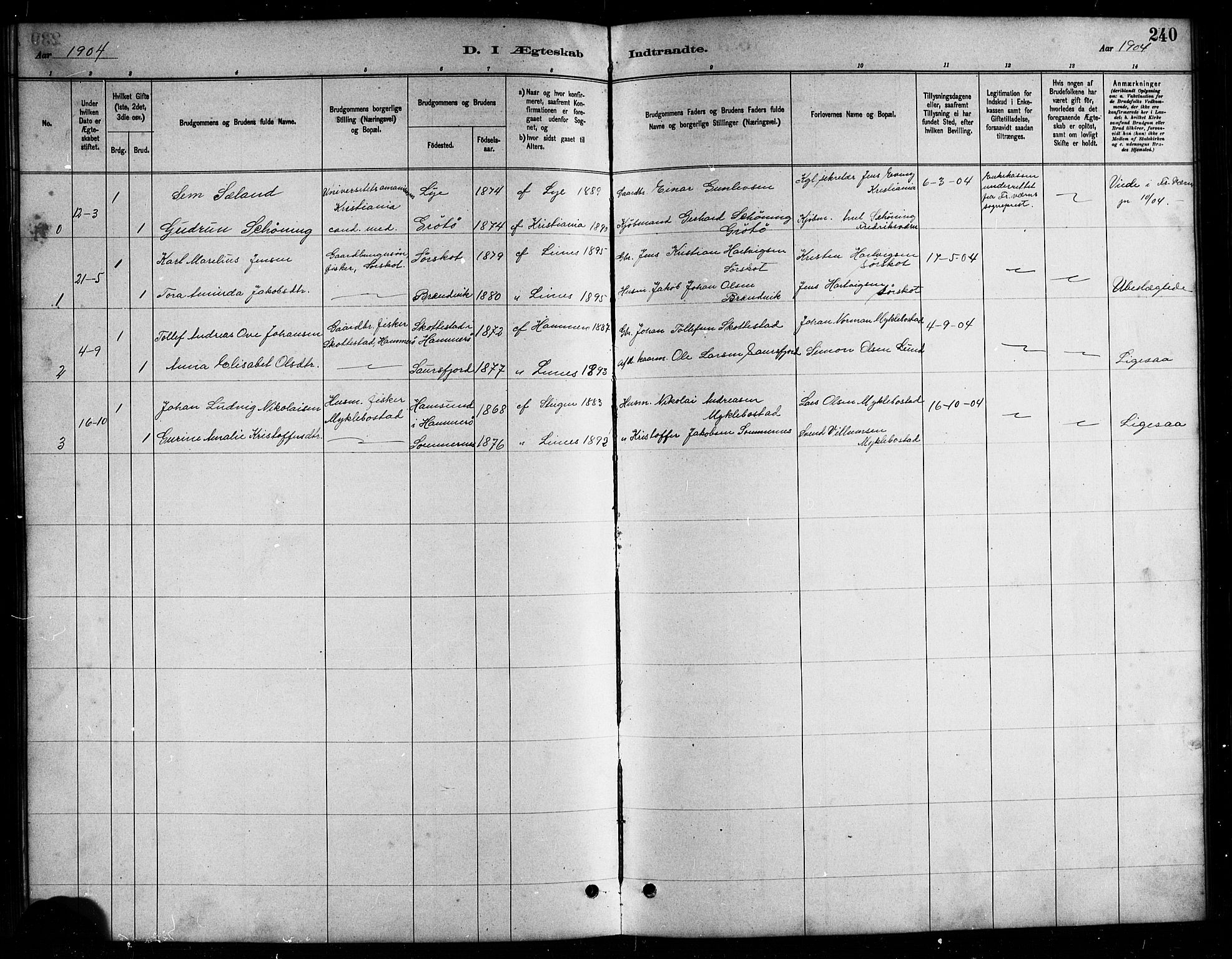 Ministerialprotokoller, klokkerbøker og fødselsregistre - Nordland, AV/SAT-A-1459/857/L0828: Parish register (copy) no. 857C03, 1879-1908, p. 240