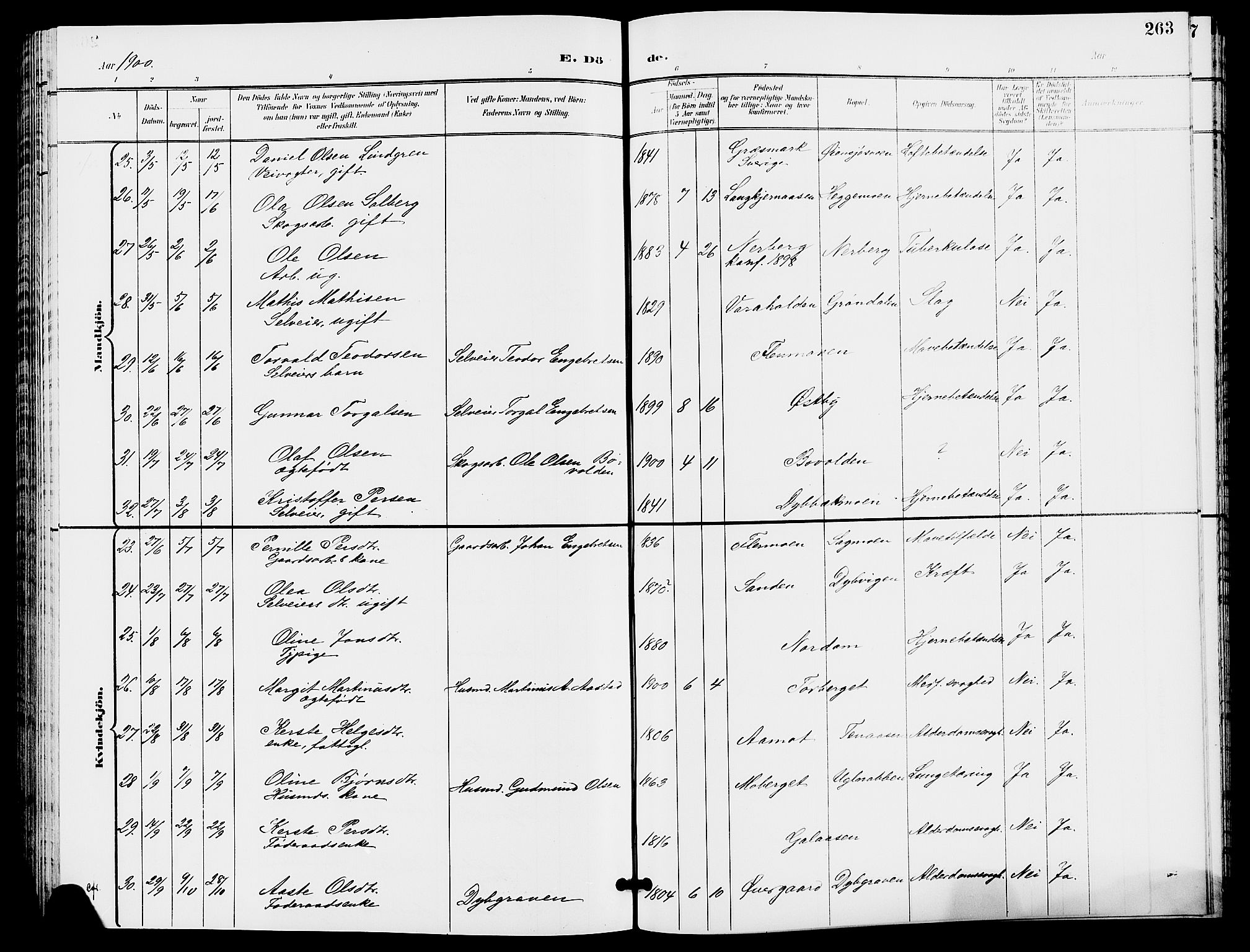 Trysil prestekontor, SAH/PREST-046/H/Ha/Hab/L0006: Parish register (copy) no. 6, 1896-1912, p. 263