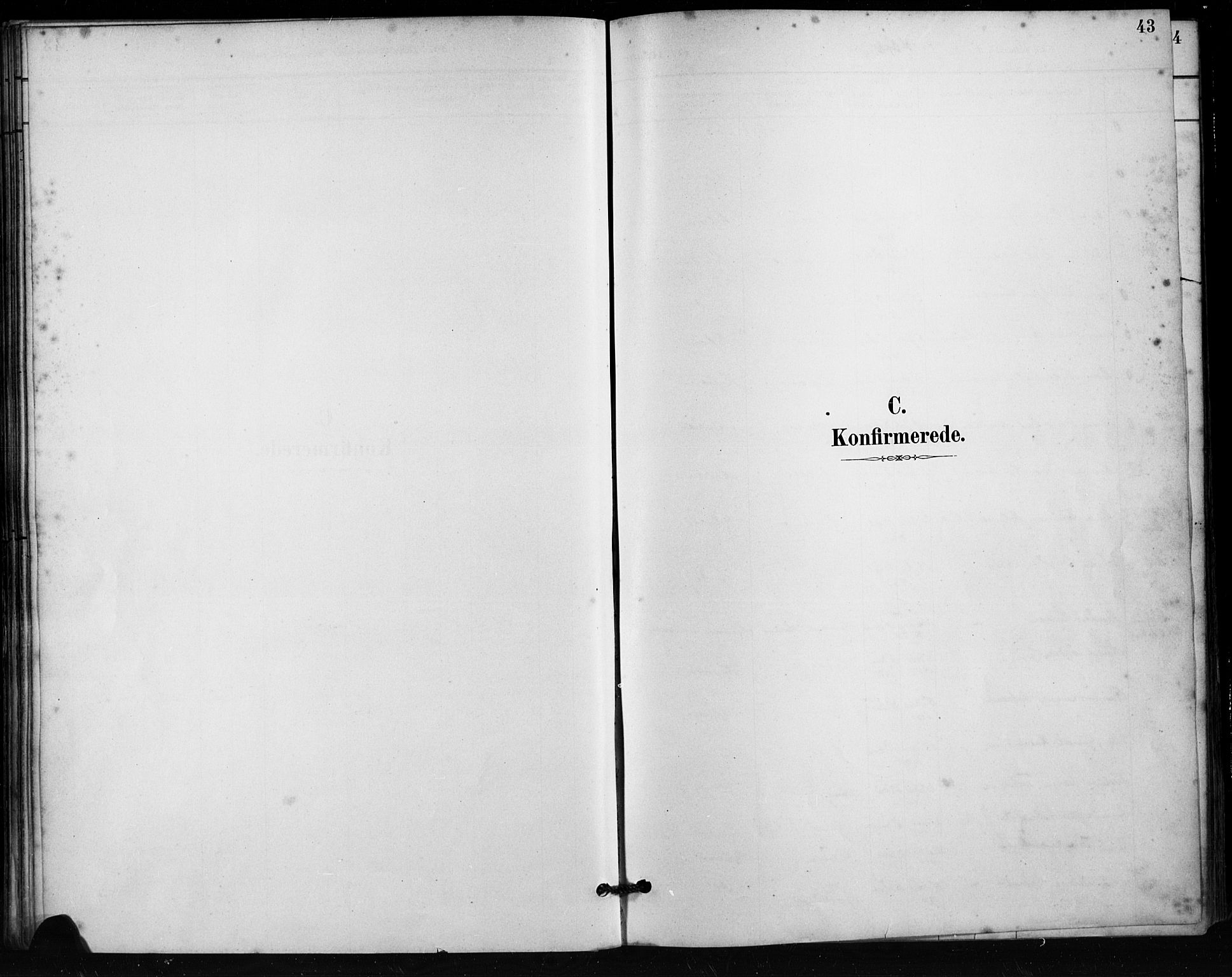 Håland sokneprestkontor, SAST/A-101802/001/30BA/L0011: Parish register (official) no. A 10, 1883-1900, p. 43