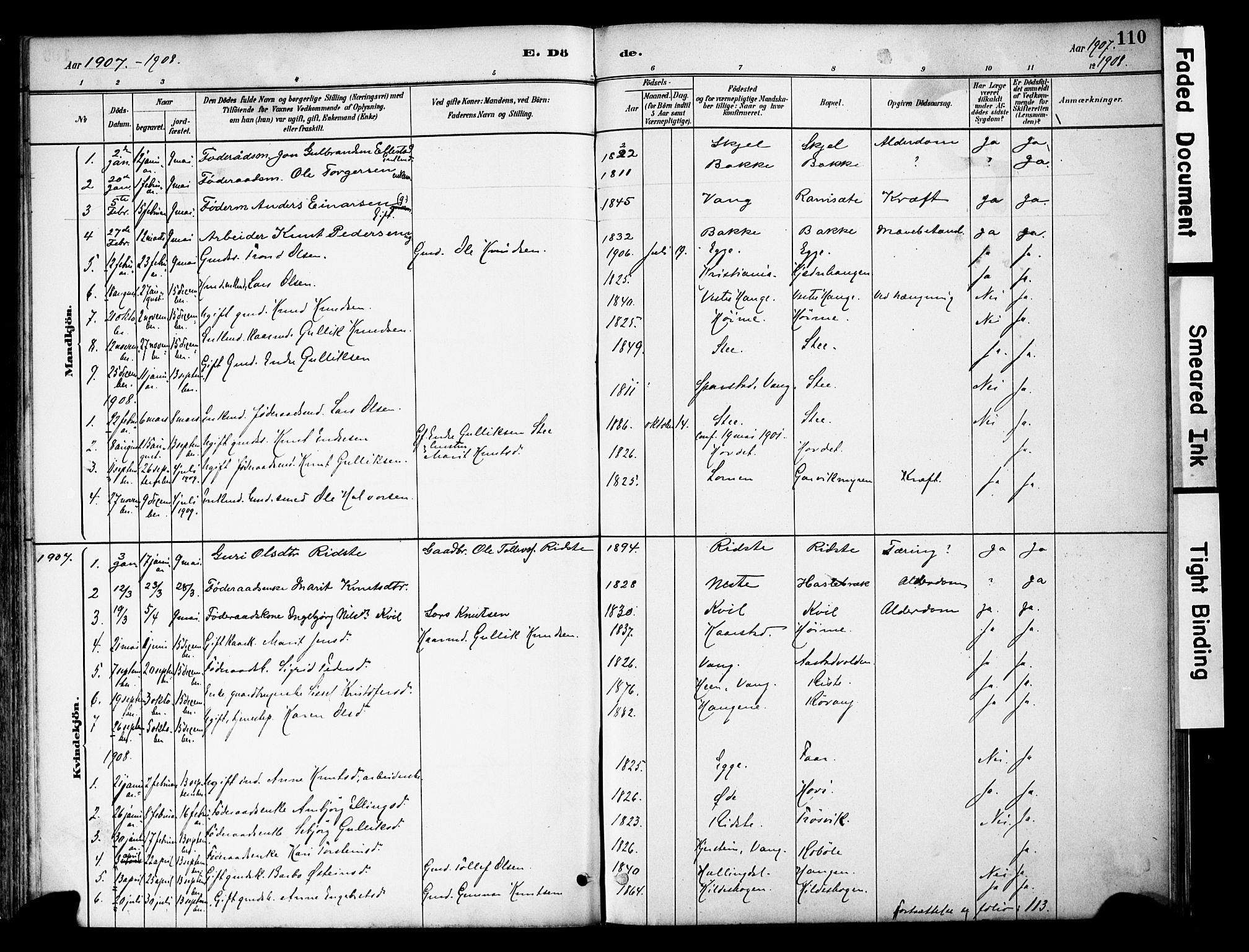 Vestre Slidre prestekontor, SAH/PREST-136/H/Ha/Haa/L0005: Parish register (official) no. 5, 1881-1912, p. 110