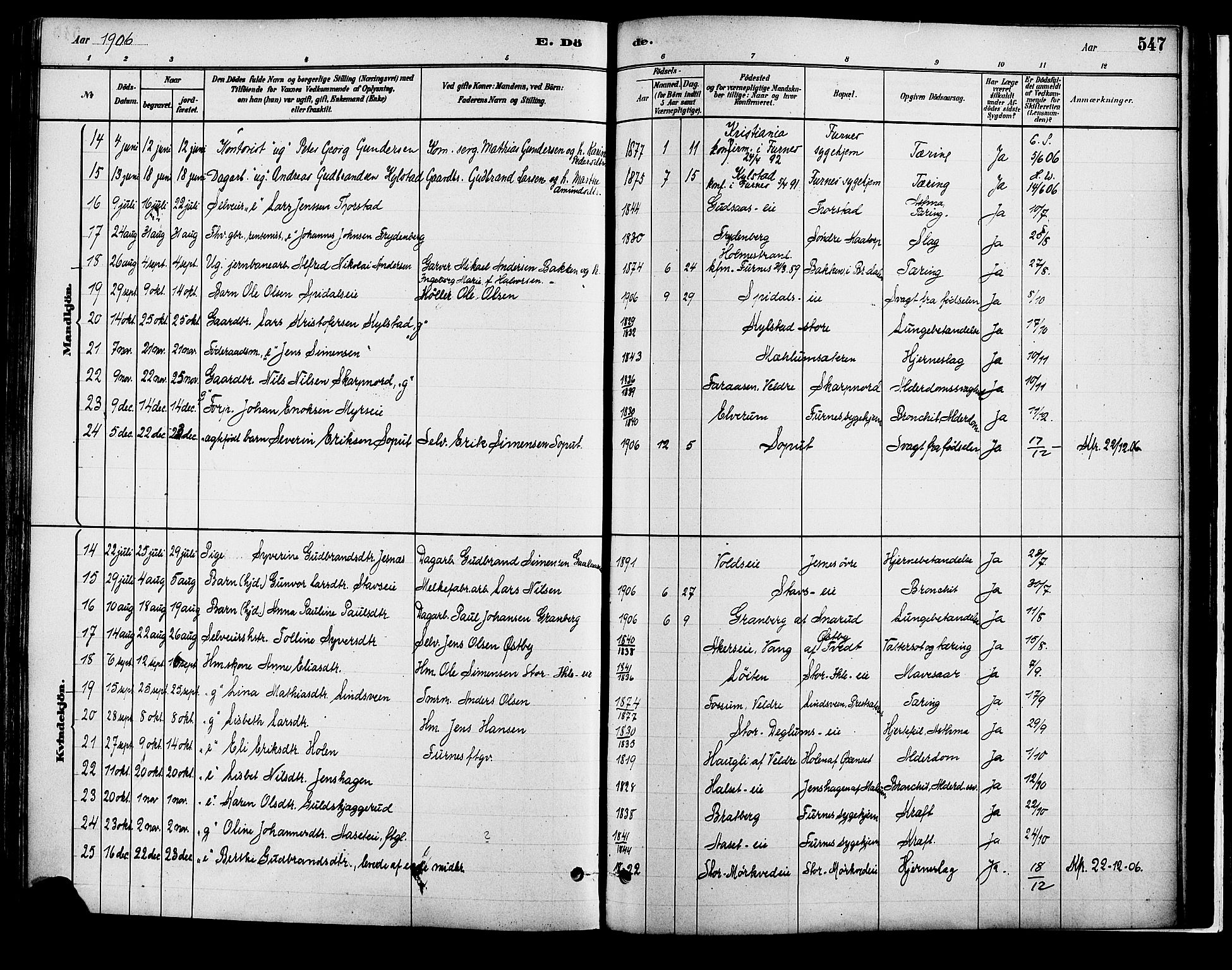 Vang prestekontor, Hedmark, AV/SAH-PREST-008/H/Ha/Haa/L0018B: Parish register (official) no. 18B, 1880-1906, p. 547