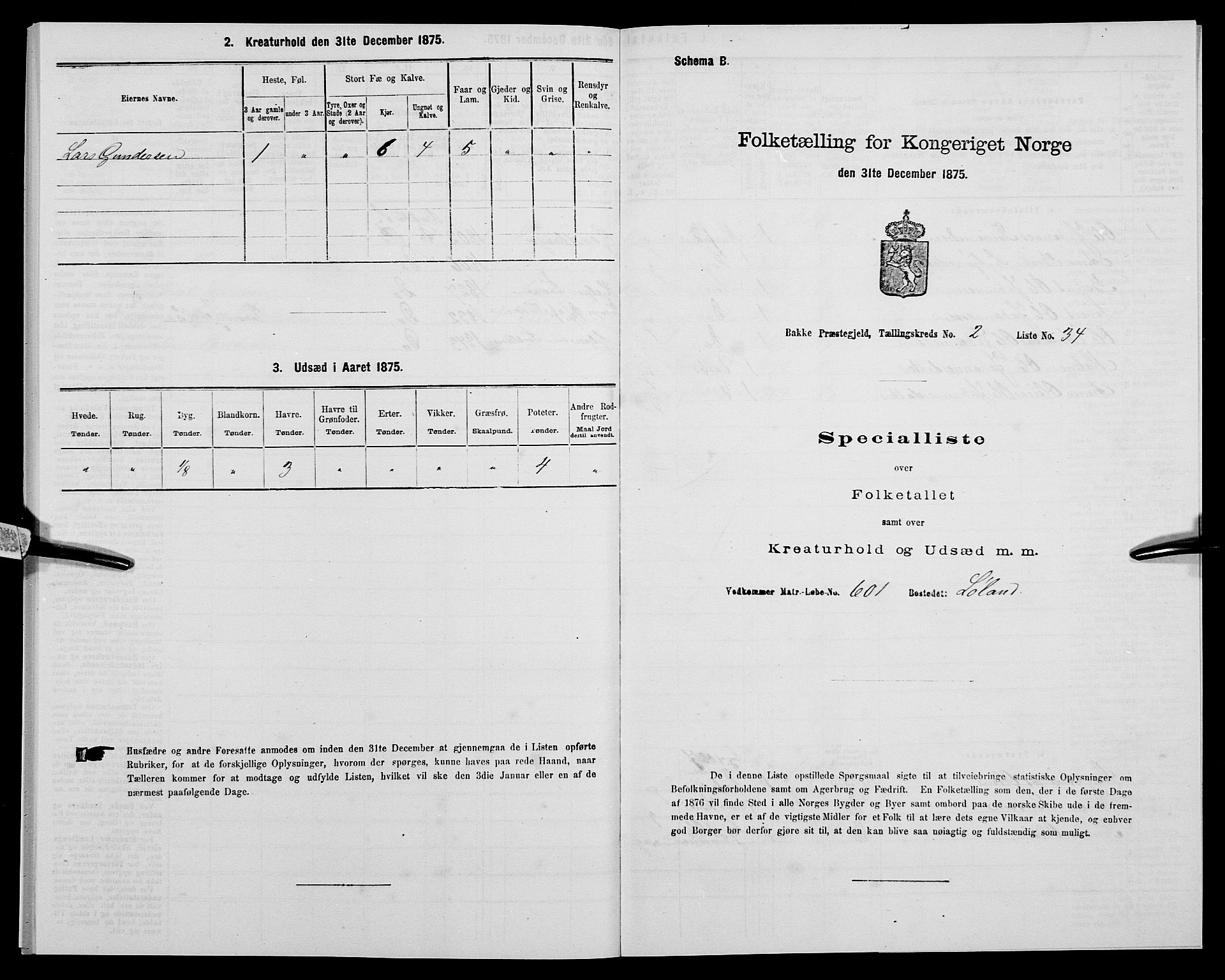 SAK, 1875 census for 1045P Bakke, 1875, p. 217