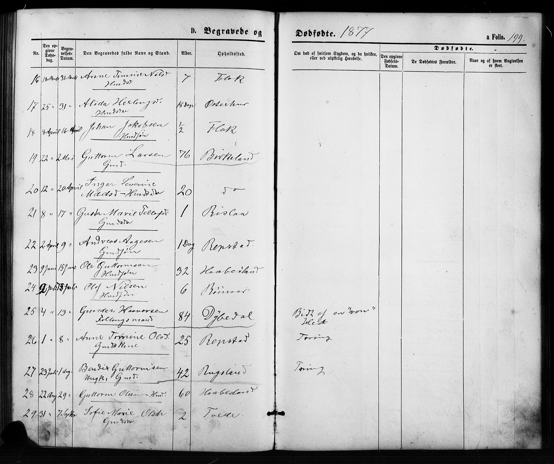 Birkenes sokneprestkontor, AV/SAK-1111-0004/F/Fb/L0003: Parish register (copy) no. B 3, 1876-1892, p. 199