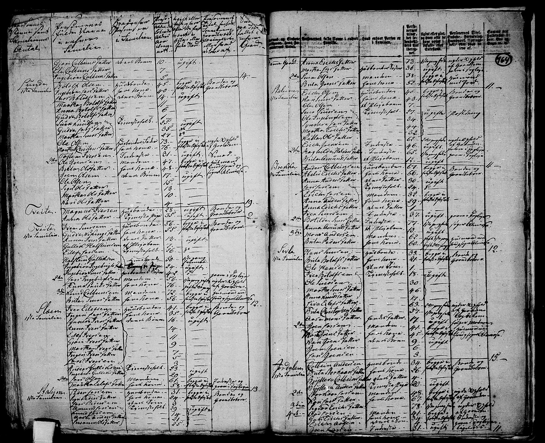 RA, 1801 census for 1235P Voss, 1801, p. 763b-764a