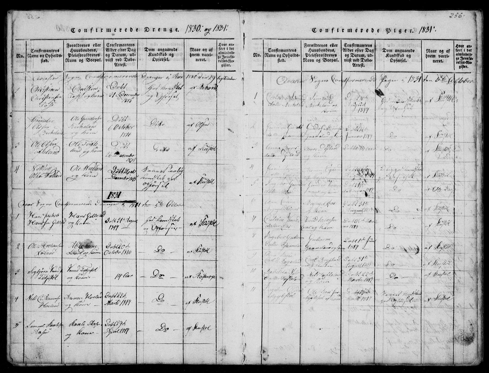 Lyngdal sokneprestkontor, AV/SAK-1111-0029/F/Fb/Fbb/L0001: Parish register (copy) no. B 1, 1816-1900, p. 256